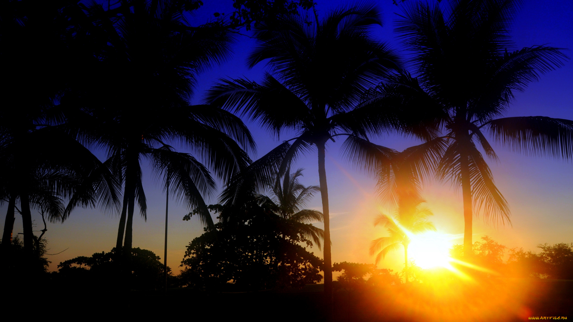 природа, восходы, закаты, рассвет, солнце