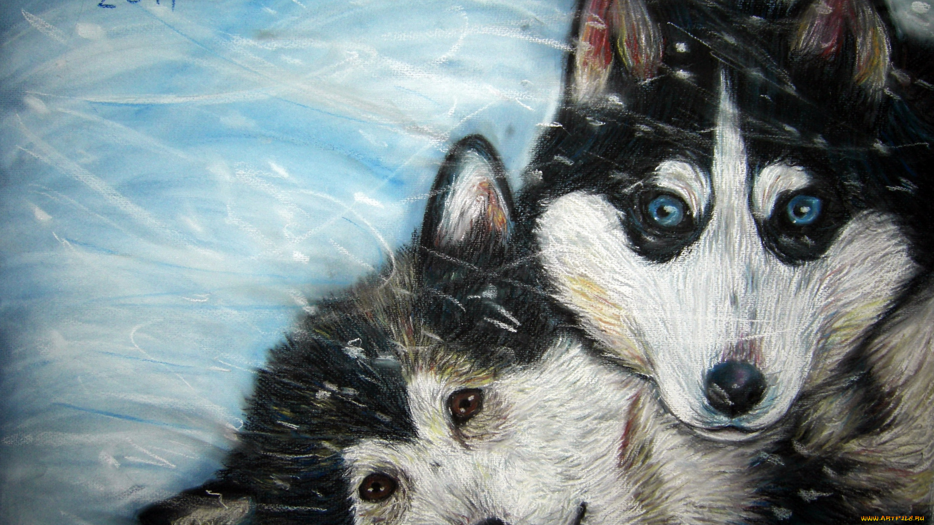 рисованные, животные, собаки