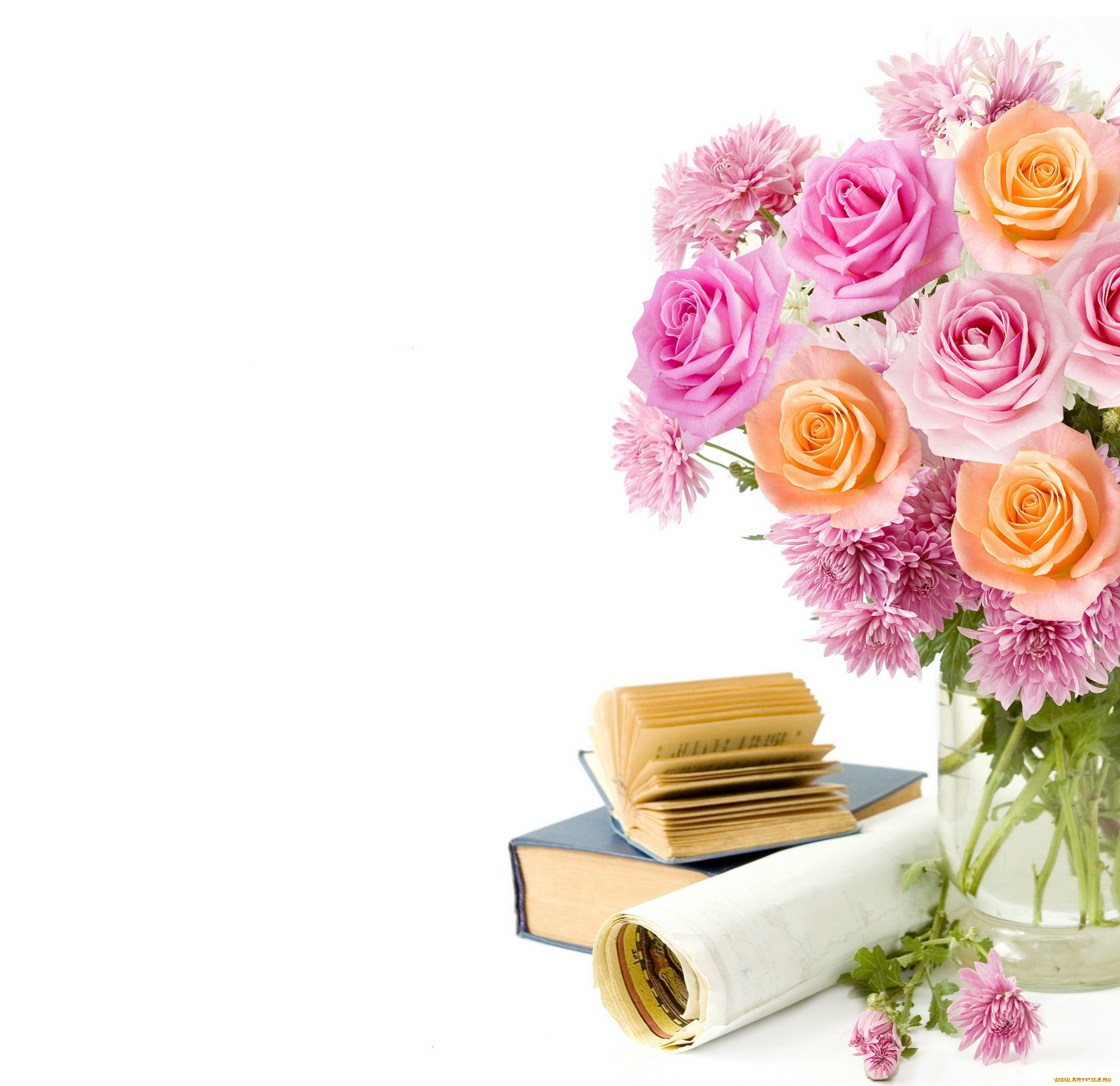 праздничные, день, знаний, букет, учебники, книги, хризантемы, розы