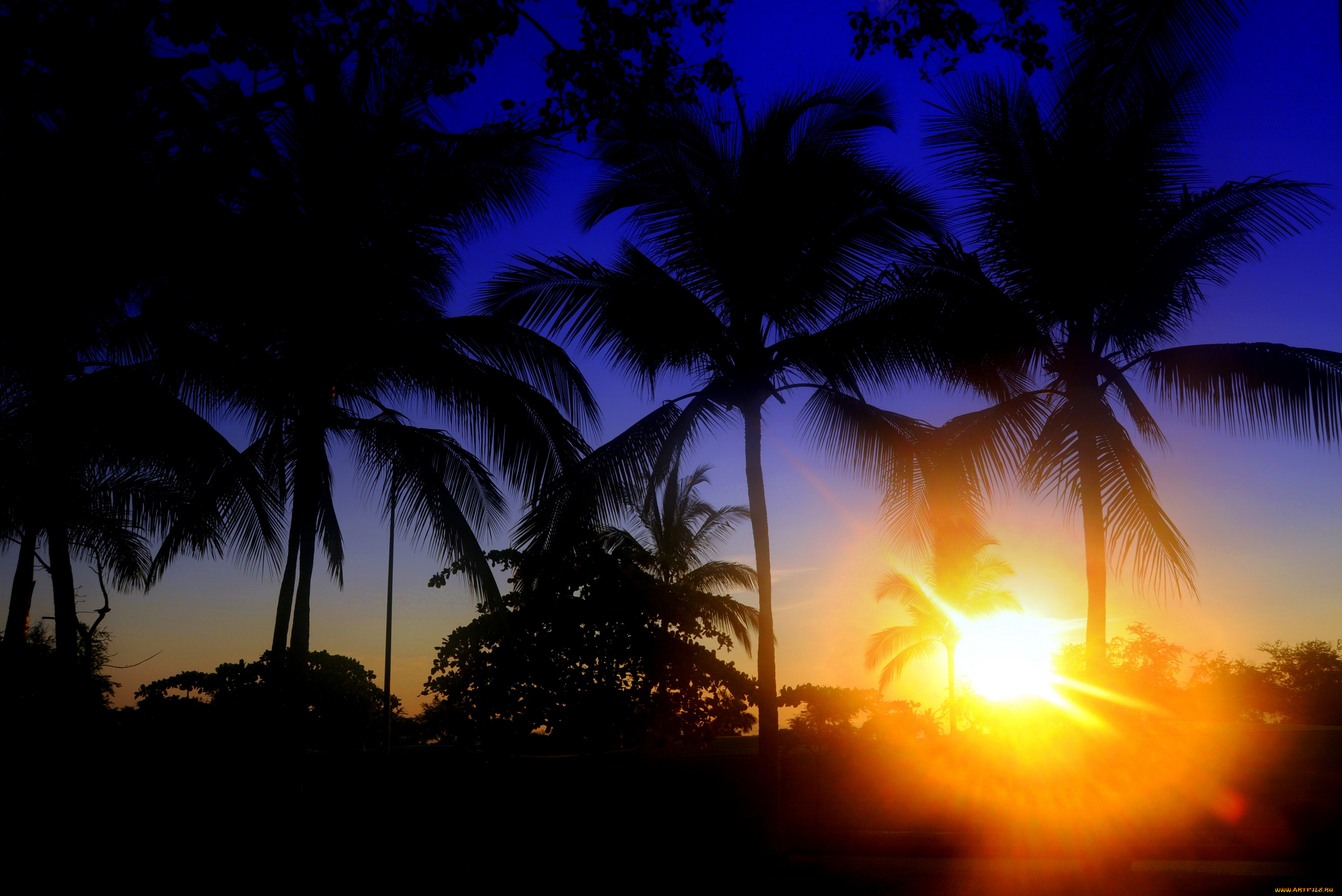 природа, восходы, закаты, рассвет, солнце