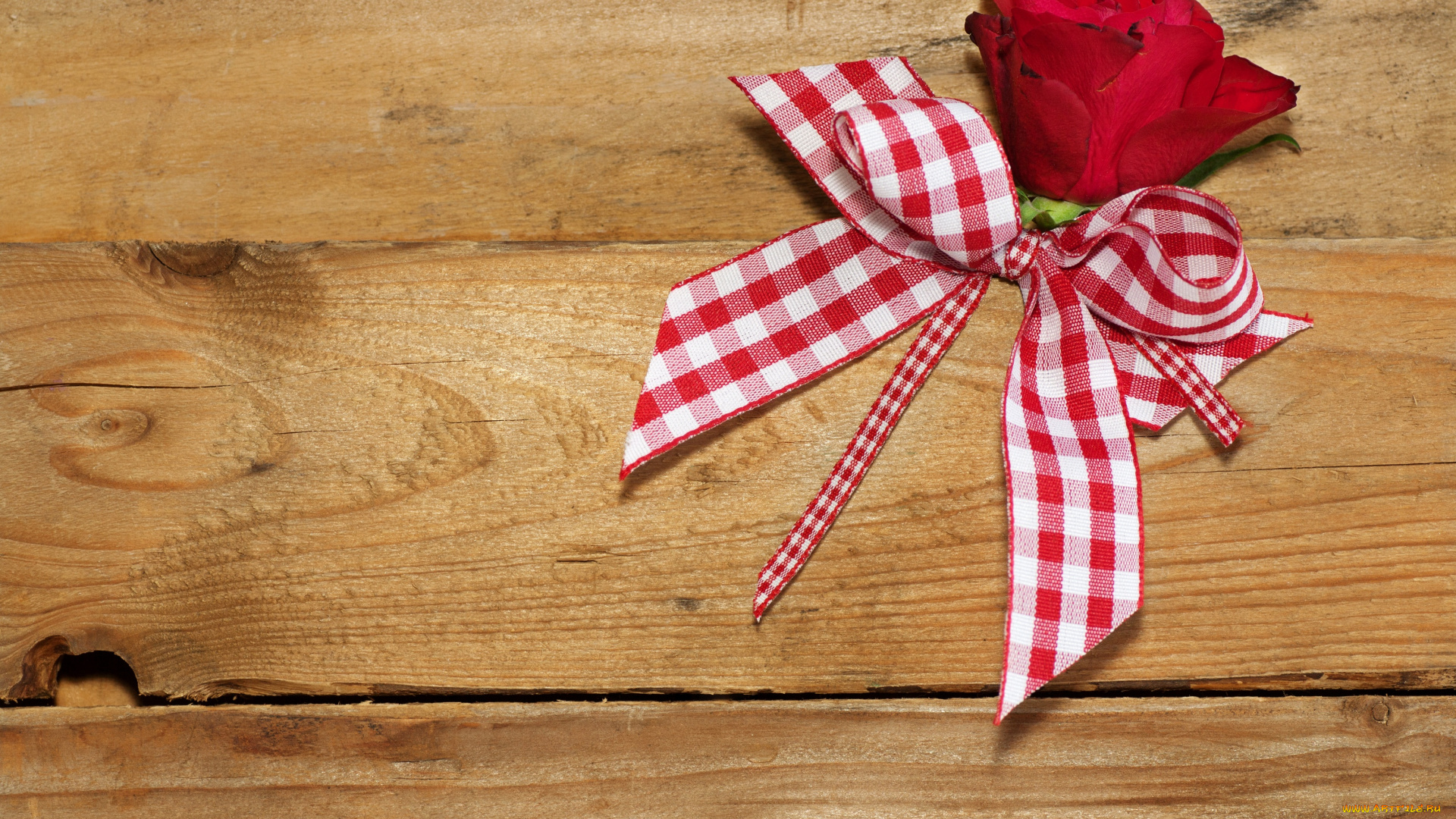 цветы, розы, лента, бантик, роза, доски