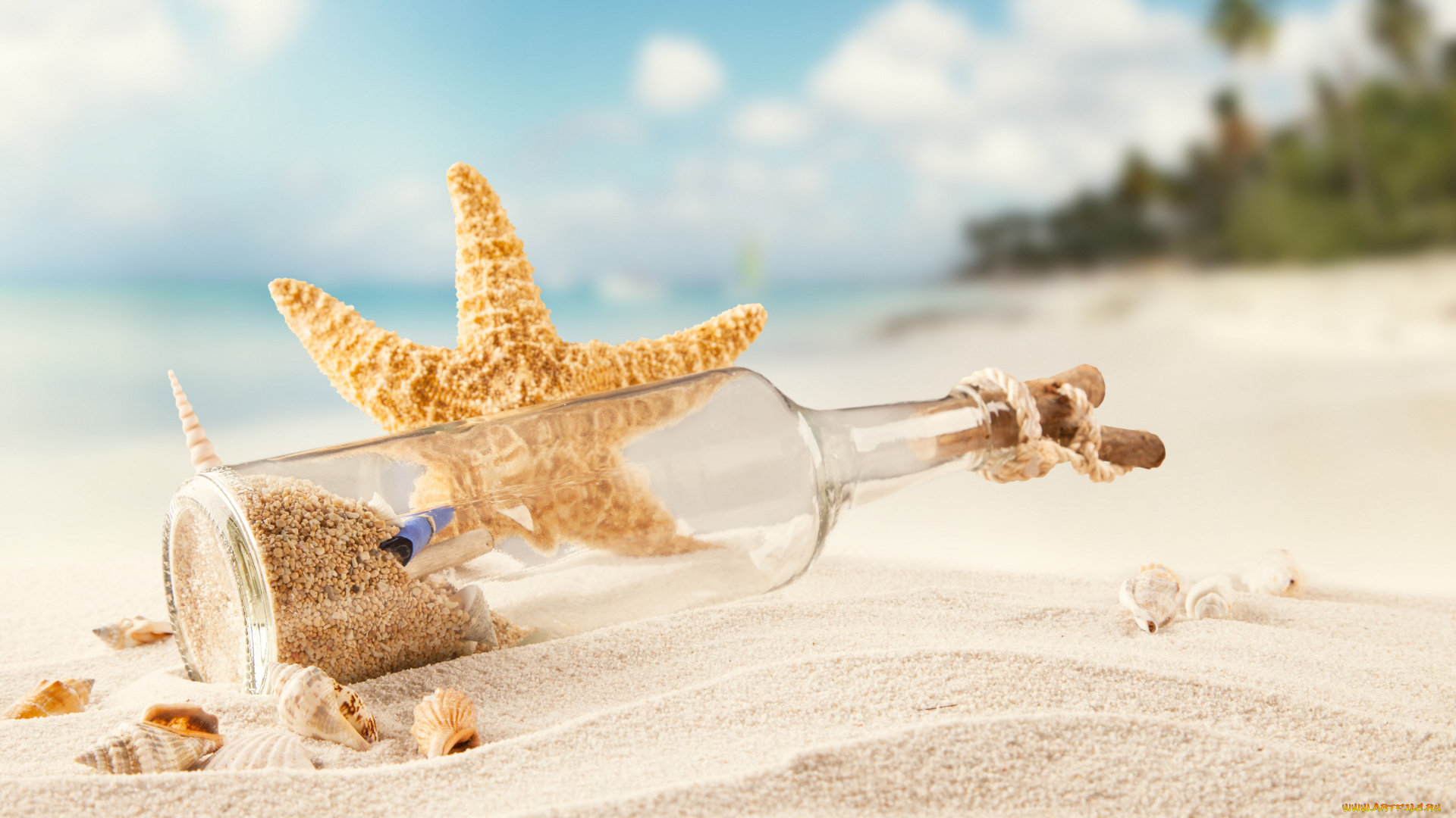 разное, ракушки, , кораллы, , декоративные, и, spa-камни, тропики, море, пляж, песок, морская, звезда, tropics, sea, beach, sand, shells, starfish