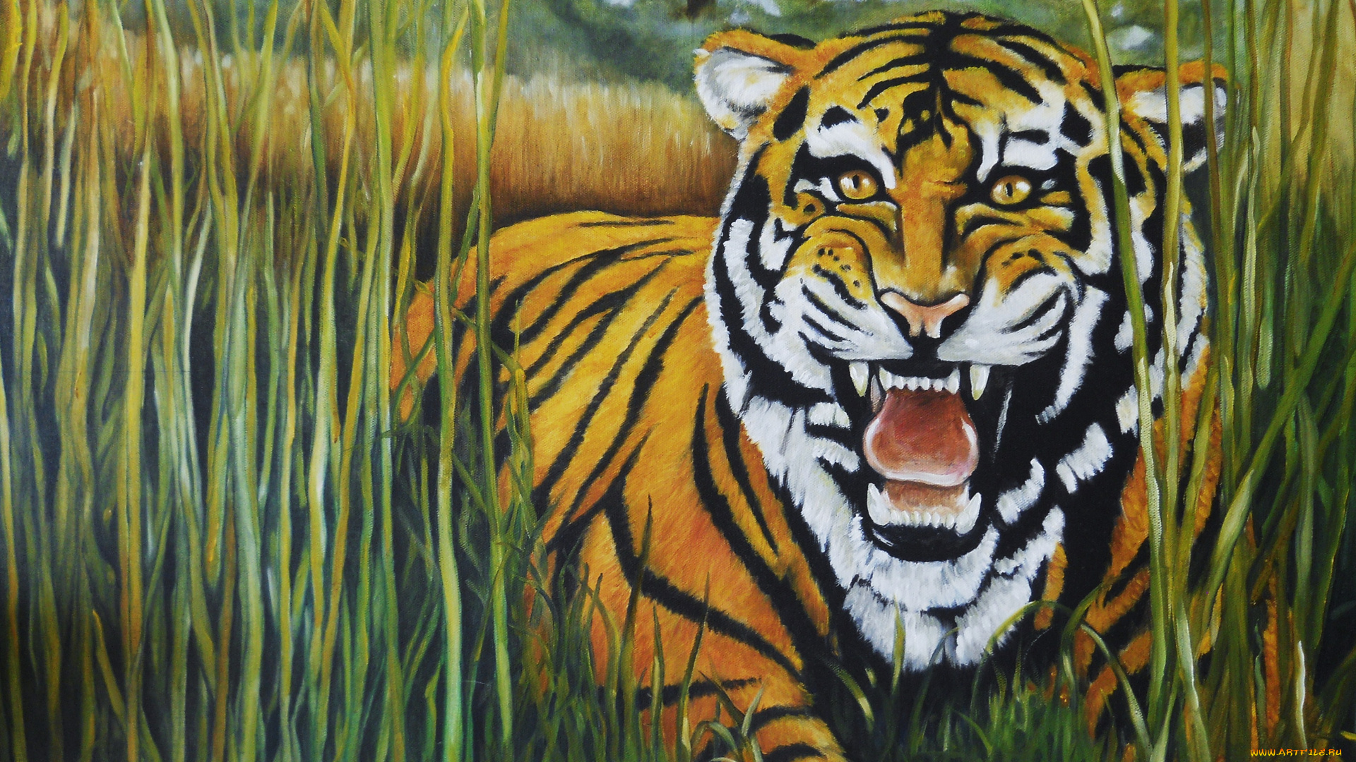 рисованные, животные, , тигры, тигр, оскал, трава