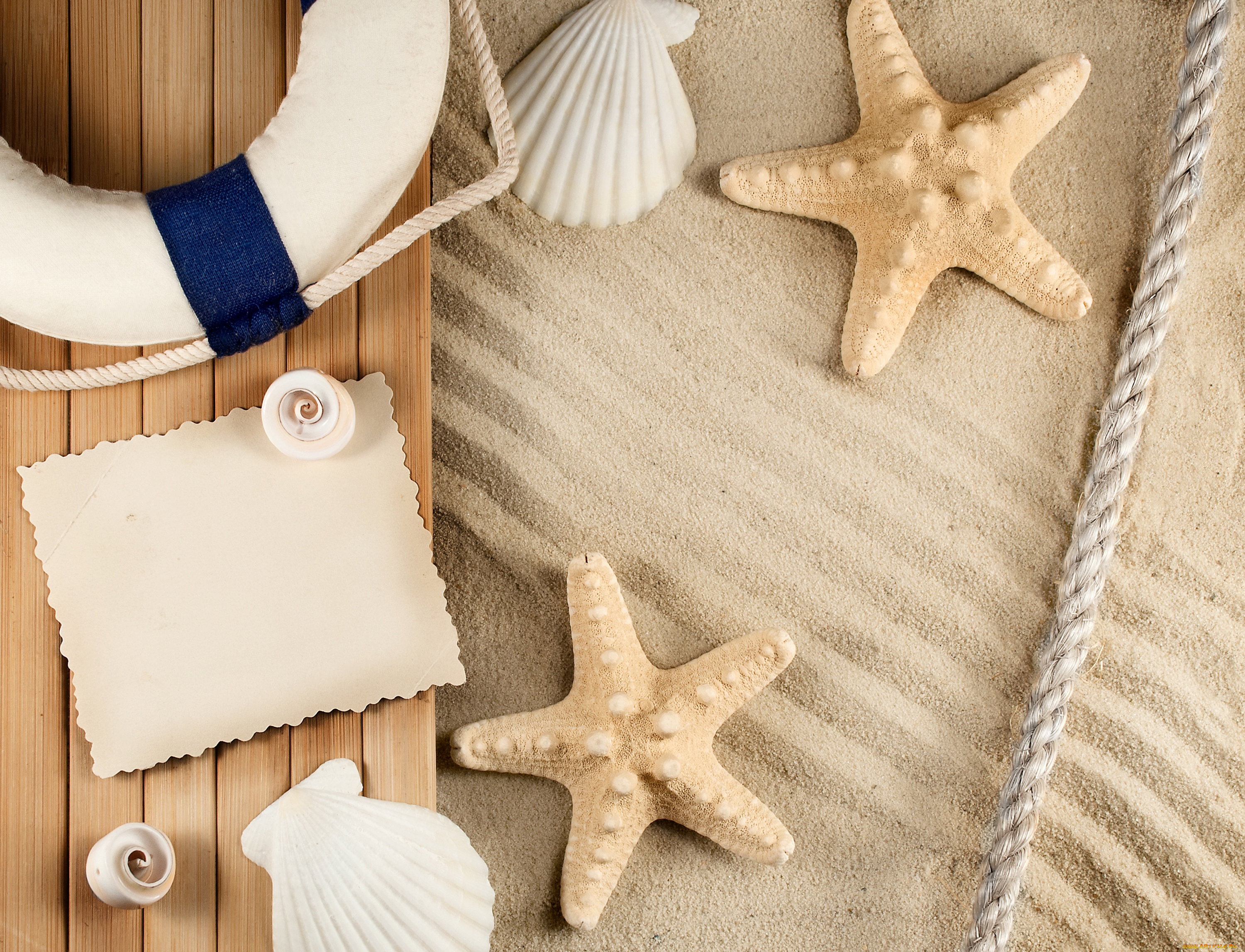 разное, ракушки, , кораллы, , декоративные, и, spa-камни, песок, бумага, морские, звезды, улитки, компас, круг, канат