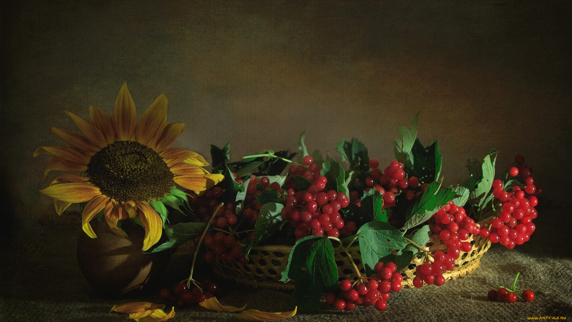 еда, фрукты, , ягоды, текстура, ягоды, калина, подсолнух