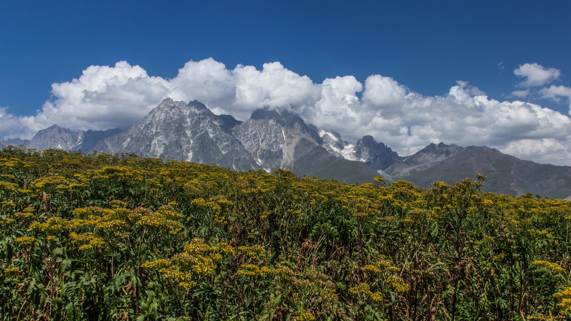 природа, горы, небо, луг