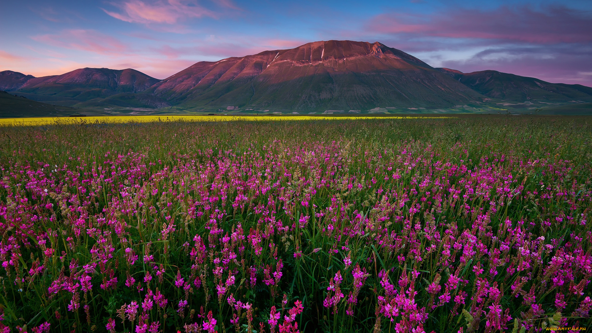 природа, луга, горы, равнина, цветы