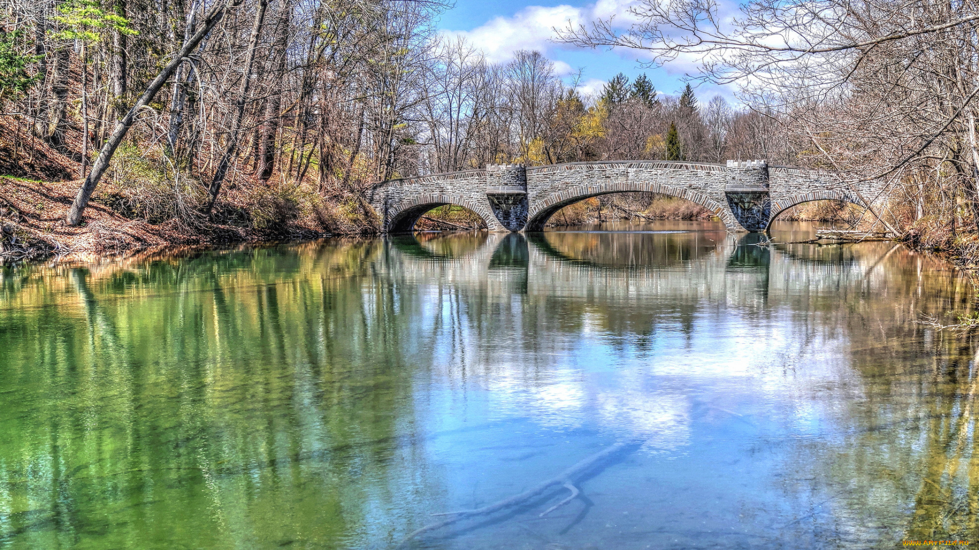 природа, парк, лес, река, мост