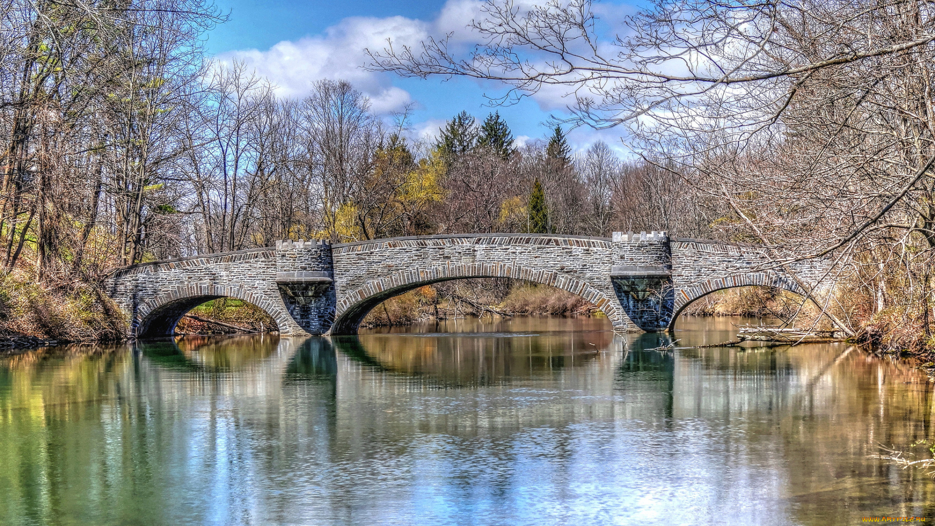 природа, парк, лес, река, мост