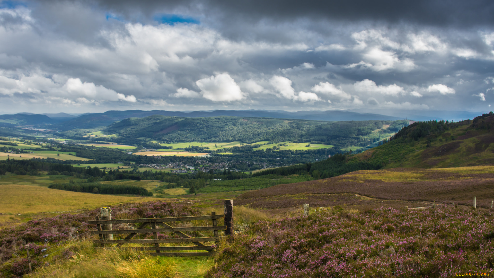 природа, пейзажи, равнина, трава, простор