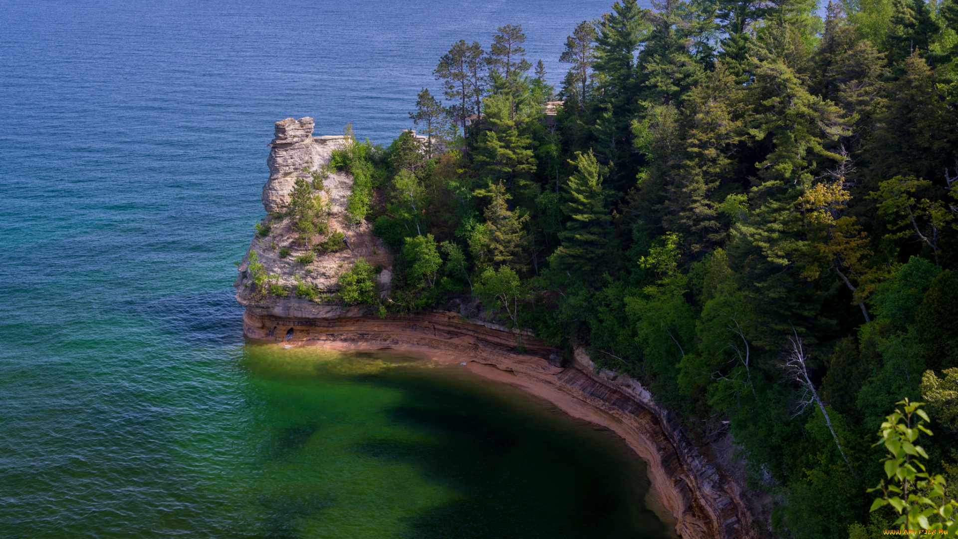 природа, побережье, берег, обрыв, лес