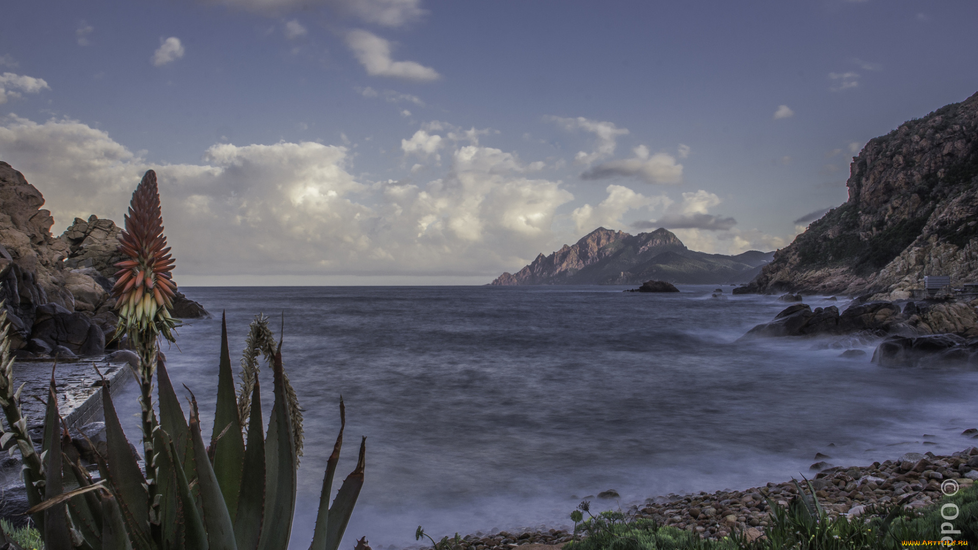 природа, побережье, горы, цветы, море