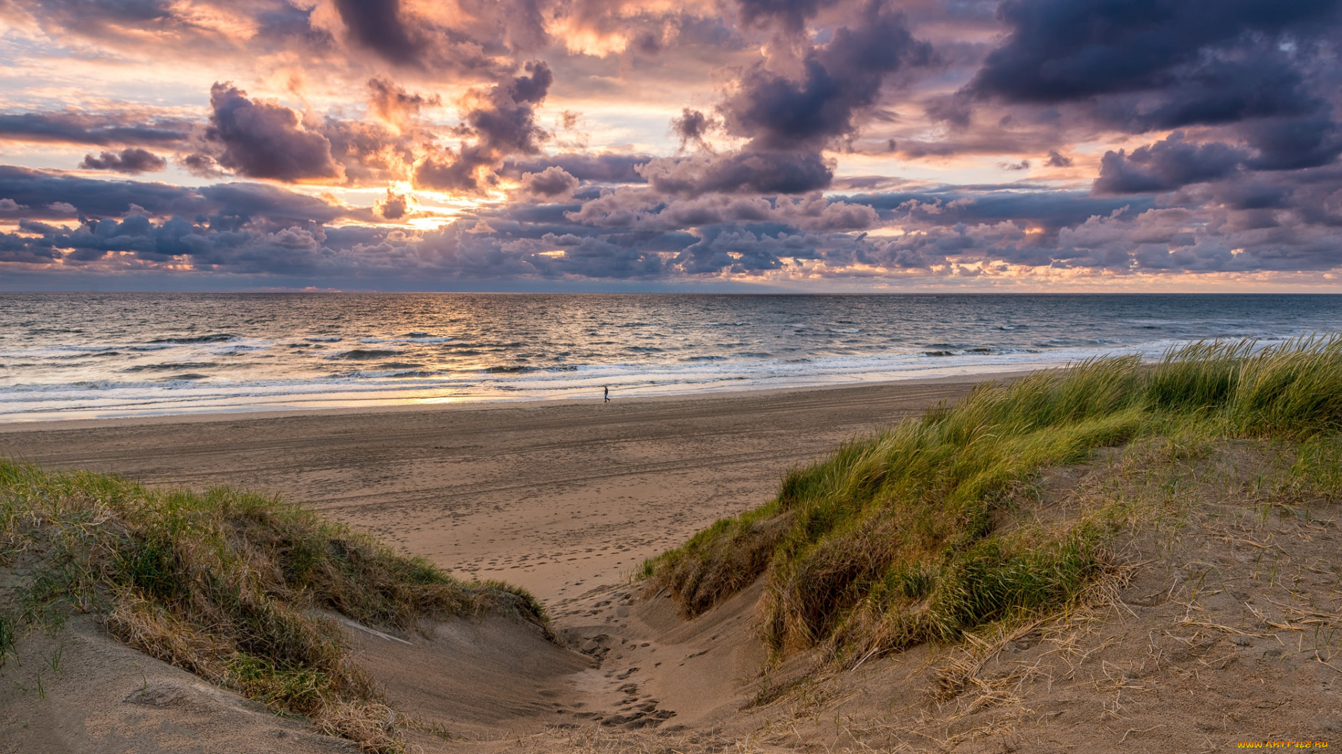 природа, побережье, океан, тучи, пляж