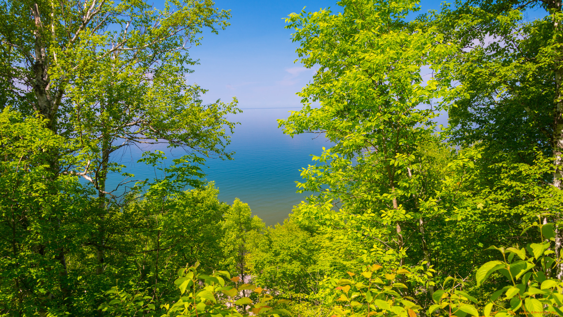 природа, реки, озера, деревья, просвет, обзор