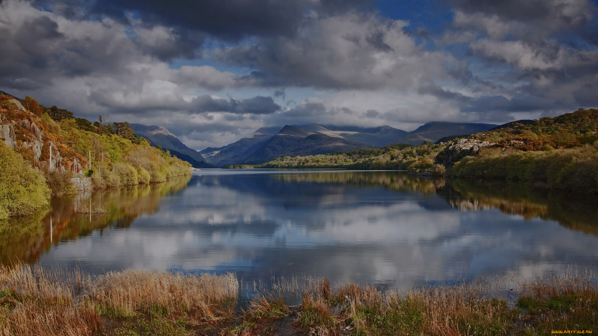 природа, реки, озера, горы, лес, река