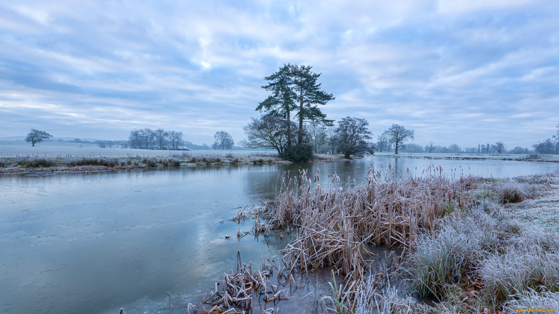 природа, реки, озера, камыш, река, иней