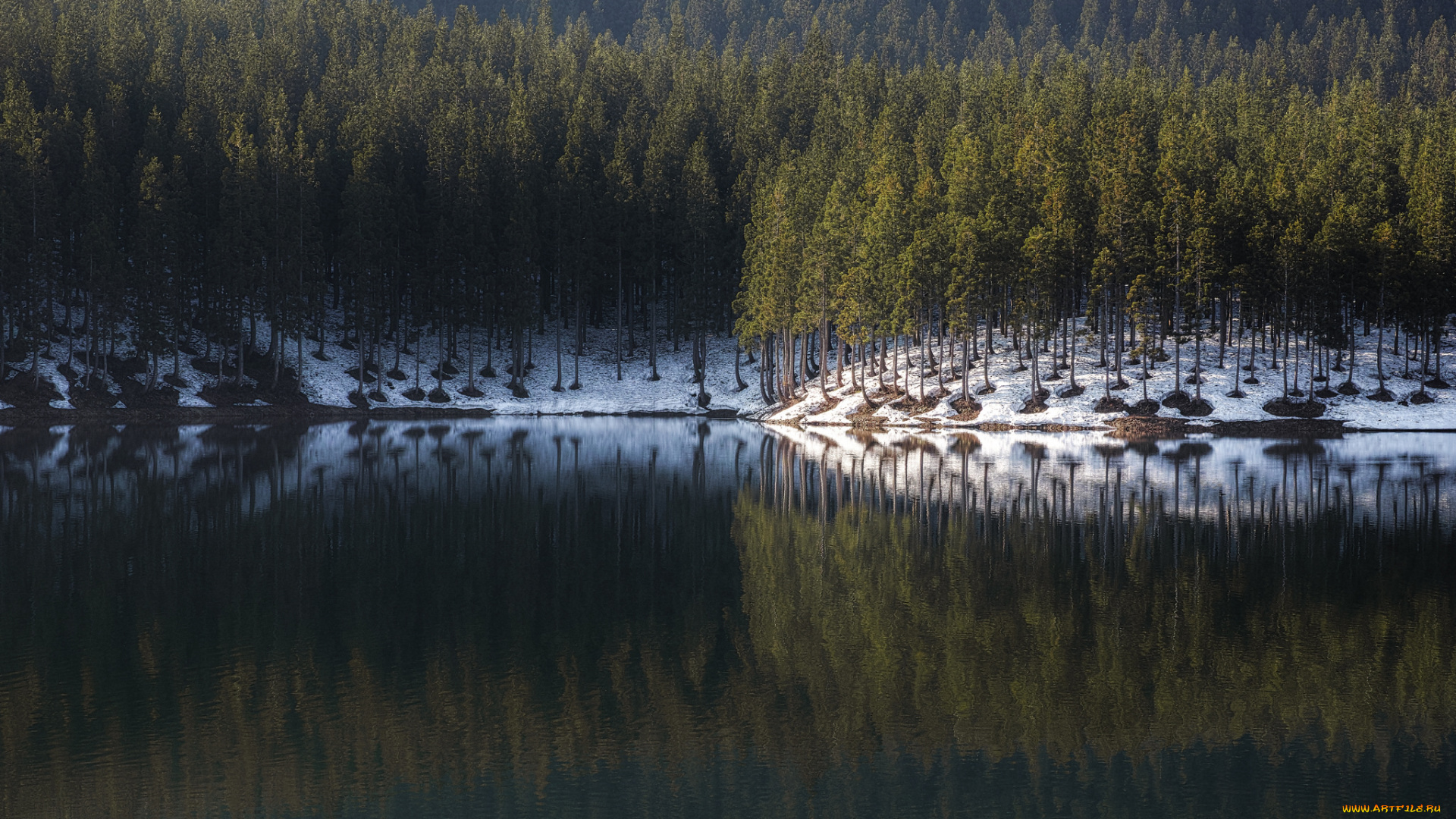 природа, реки, озера, лес, озеро, деревья, отражение