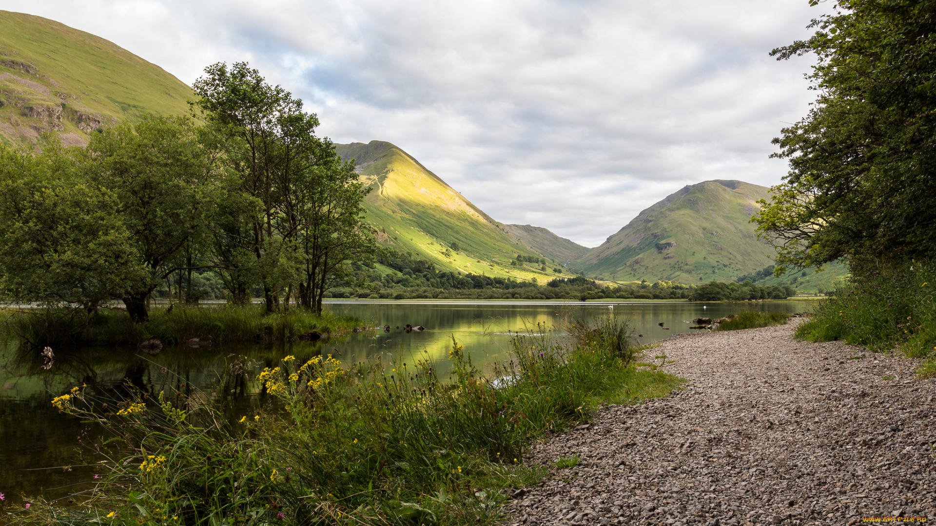 природа, реки, озера, лес, река