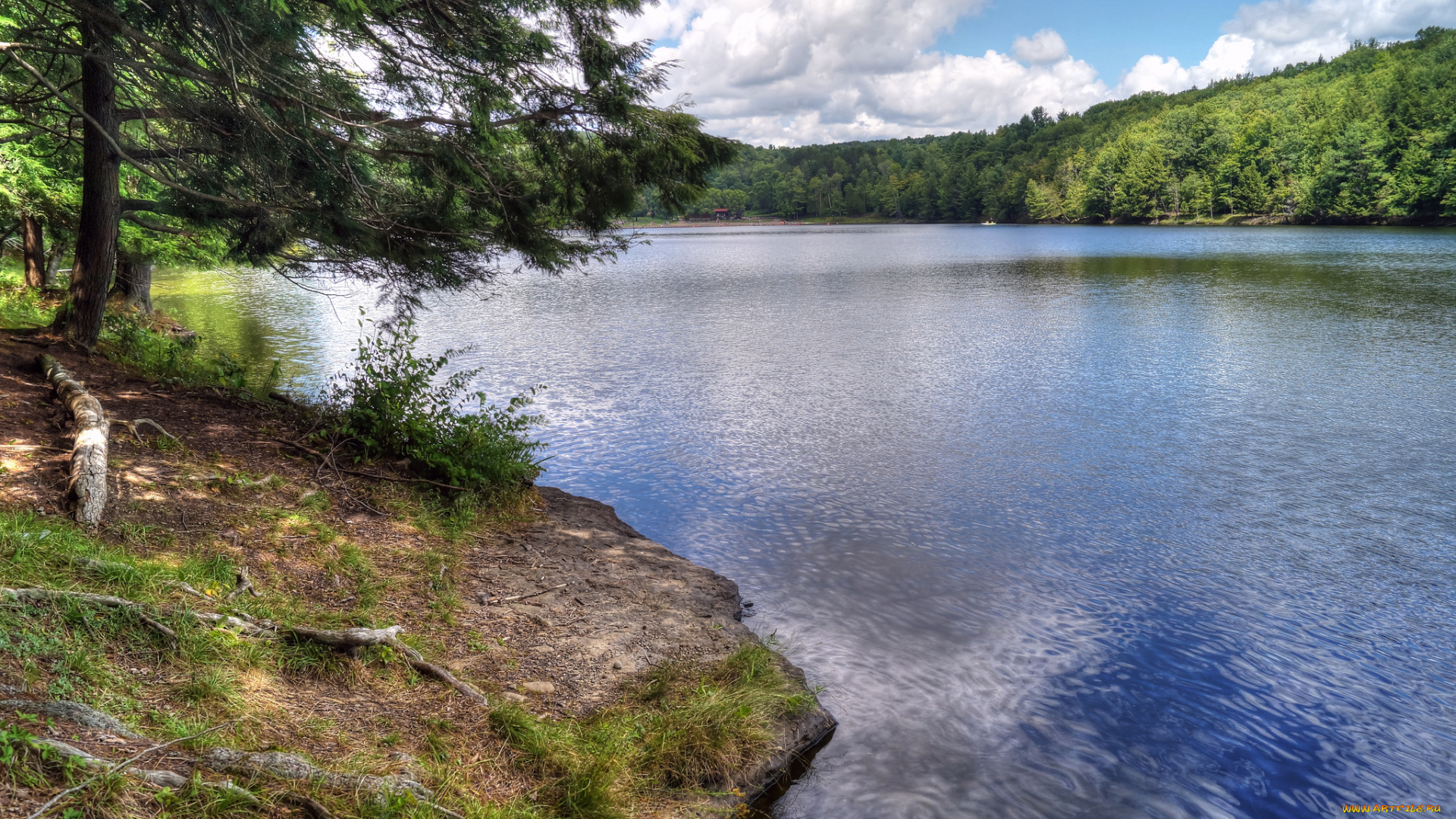 природа, реки, озера, лес, река