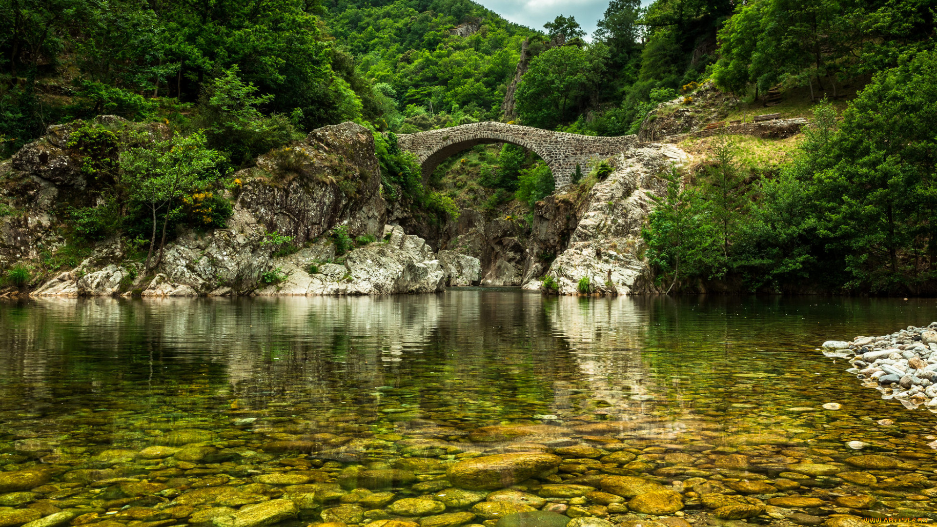 природа, реки, озера, мост, река, лес