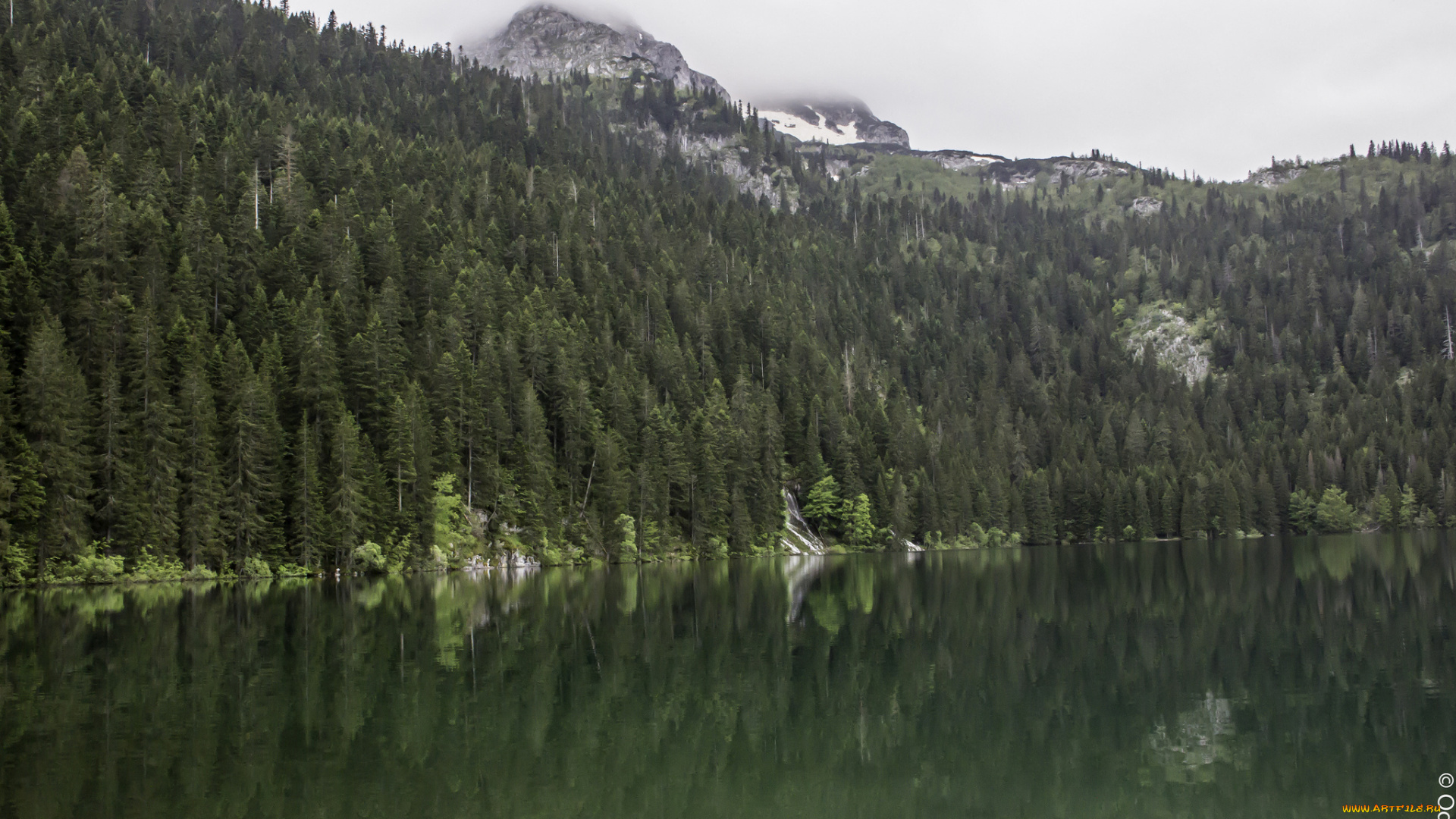 природа, реки, озера, озеро, отражение, лес