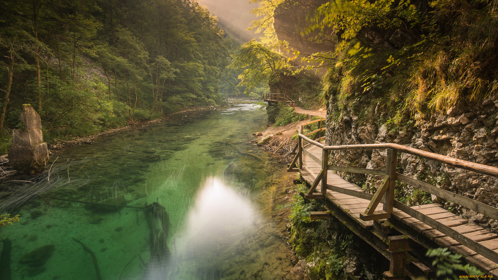 природа, реки, озера, река, лес, горы