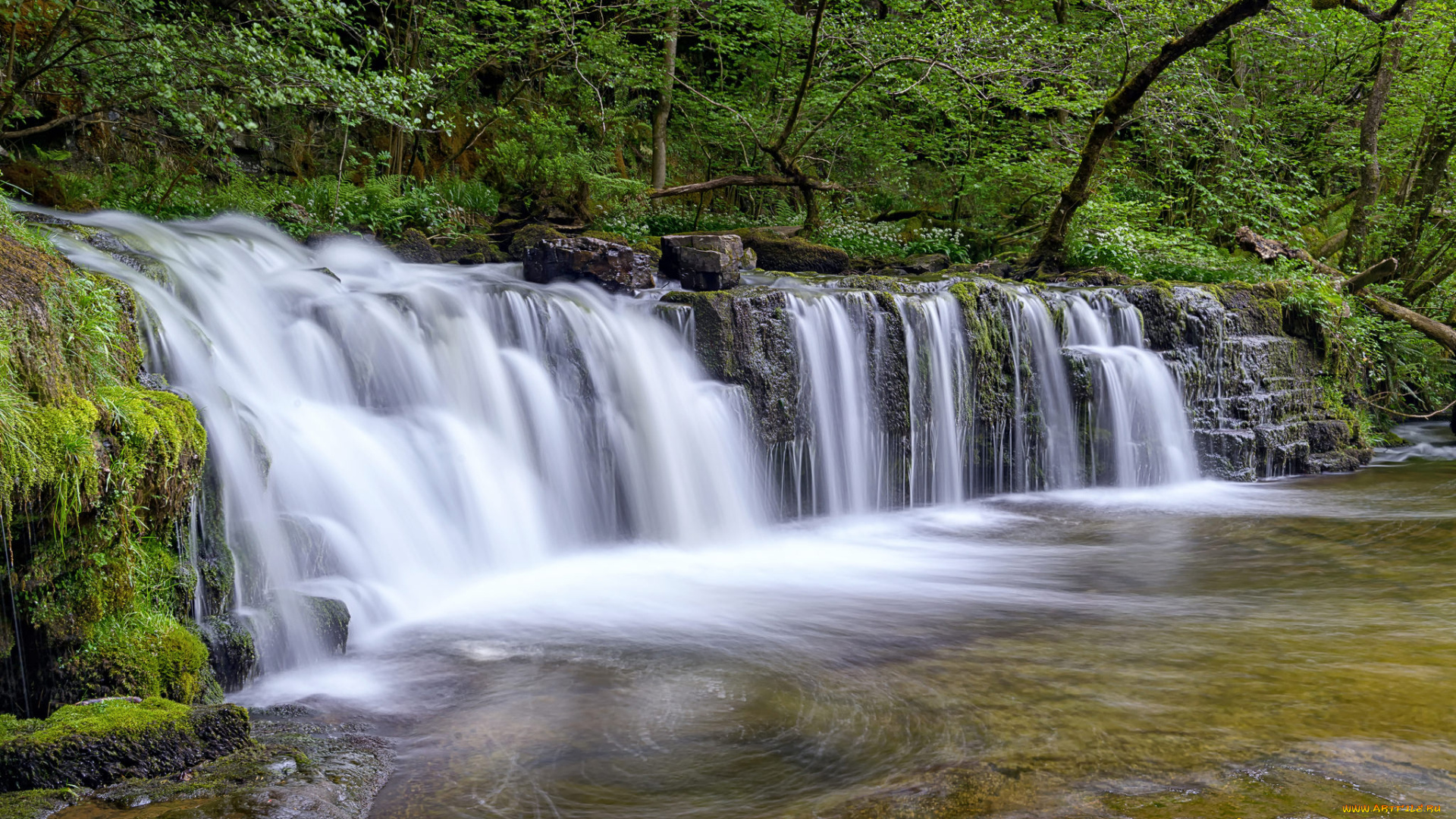 природа, водопады, водопад, река, лес