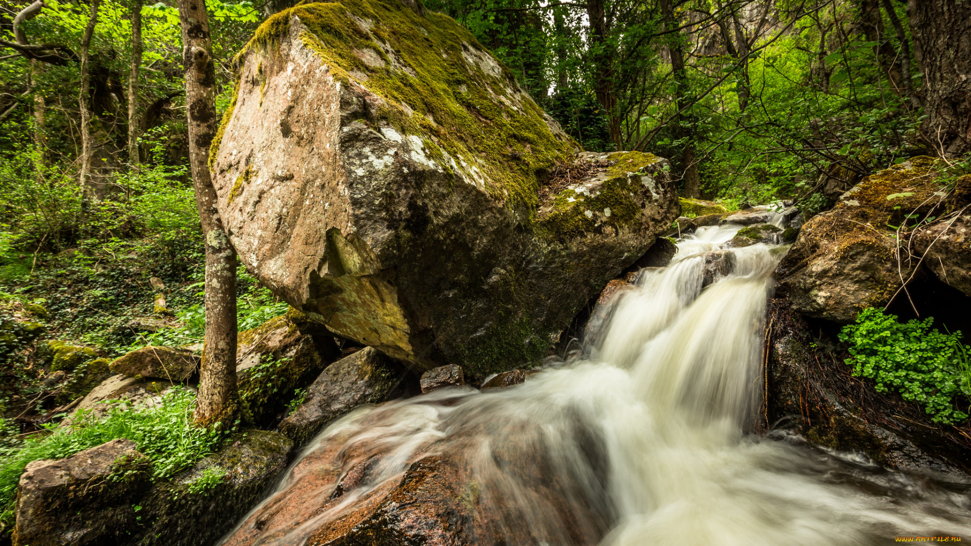 природа, водопады, водопад, река, лес
