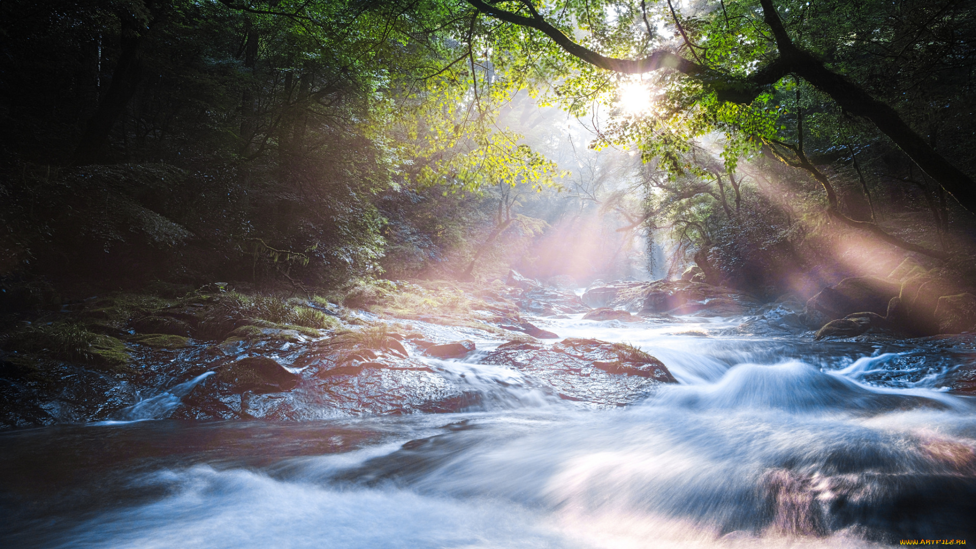 природа, восходы, закаты, лучи, лес, река