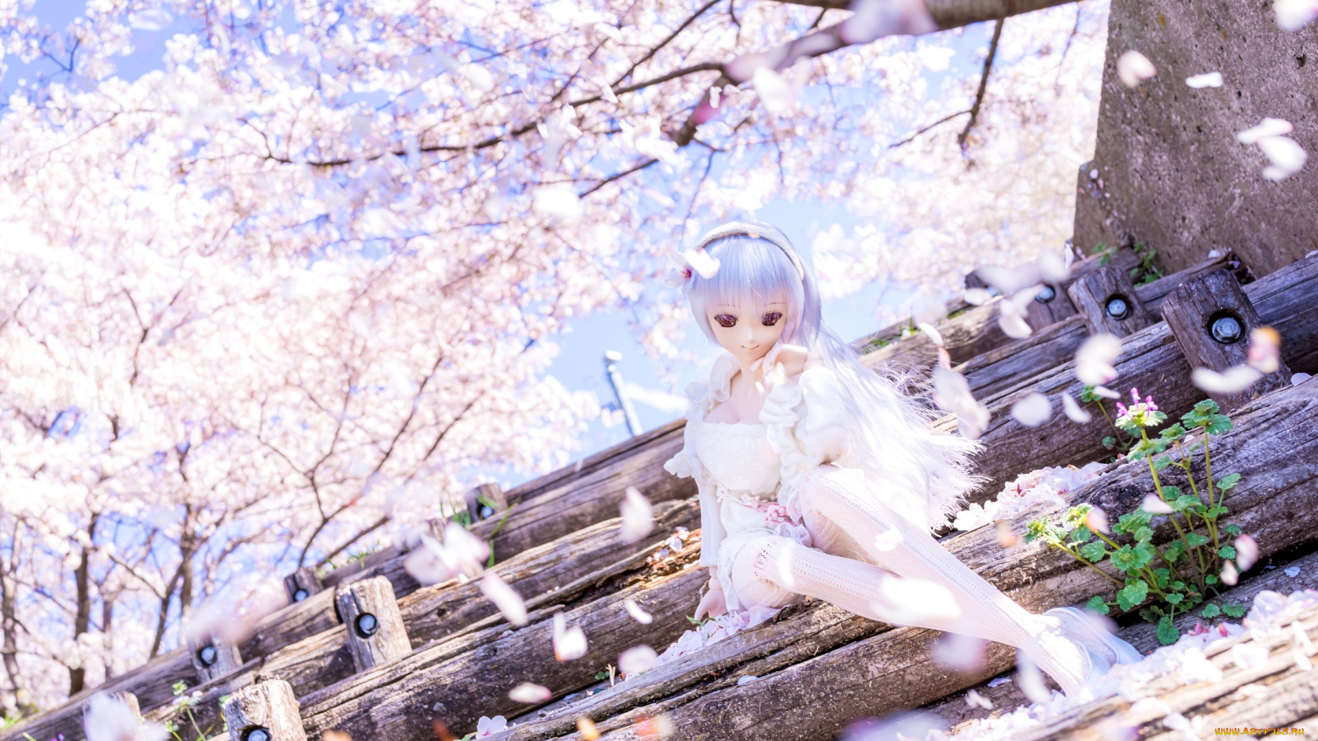 разное, игрушки, весна, сакура, лепестки, кукла