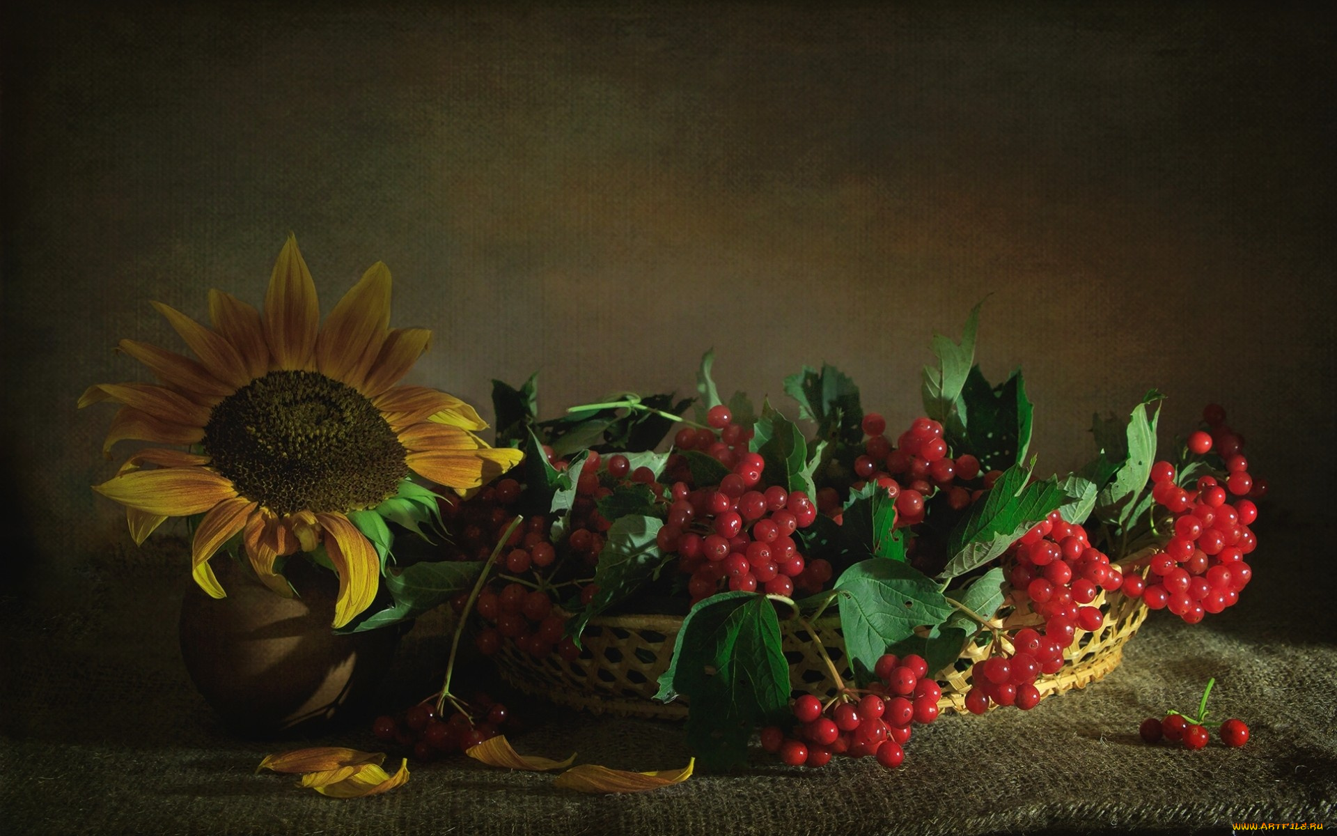 еда, фрукты, , ягоды, текстура, ягоды, калина, подсолнух