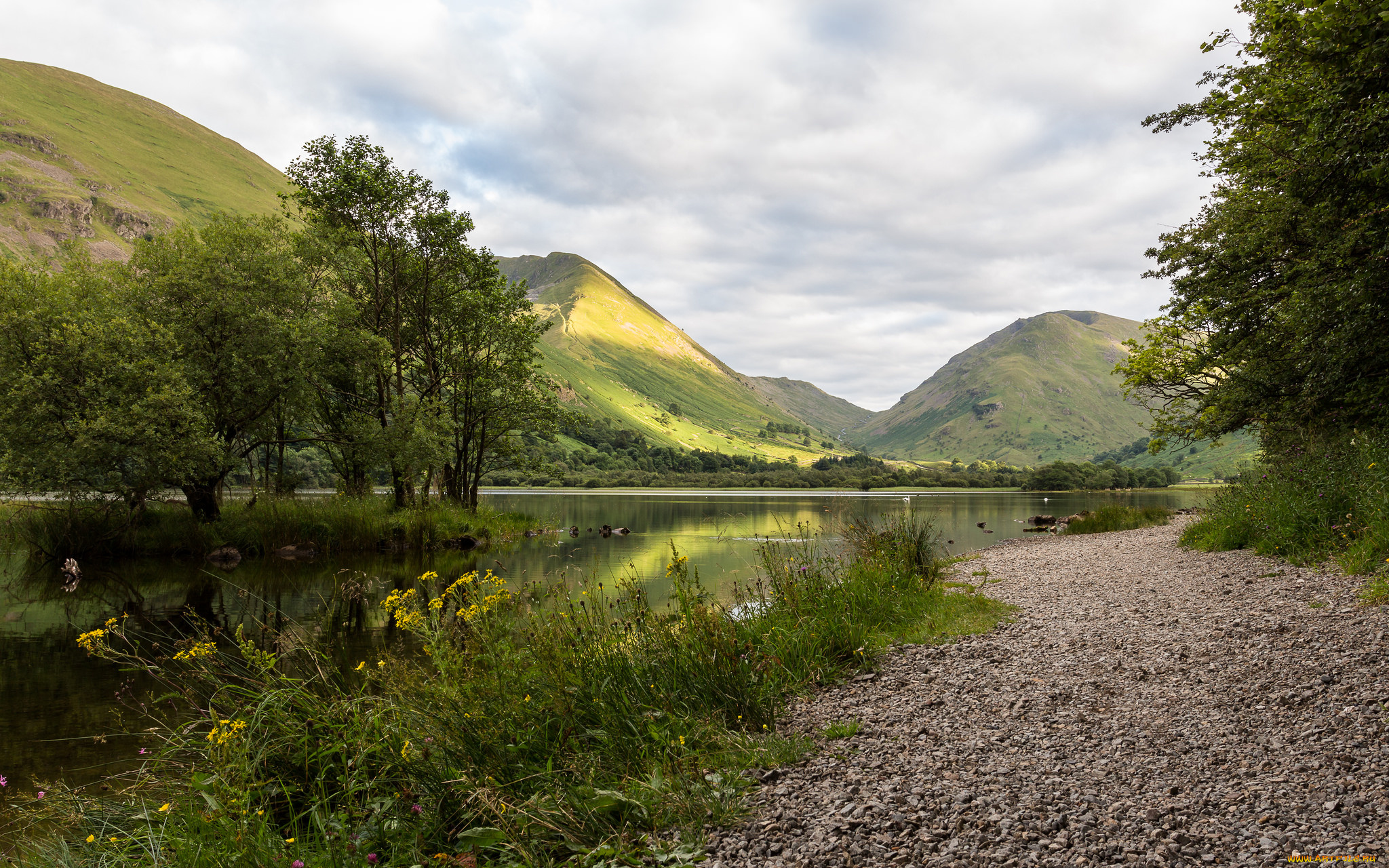 природа, реки, озера, лес, река