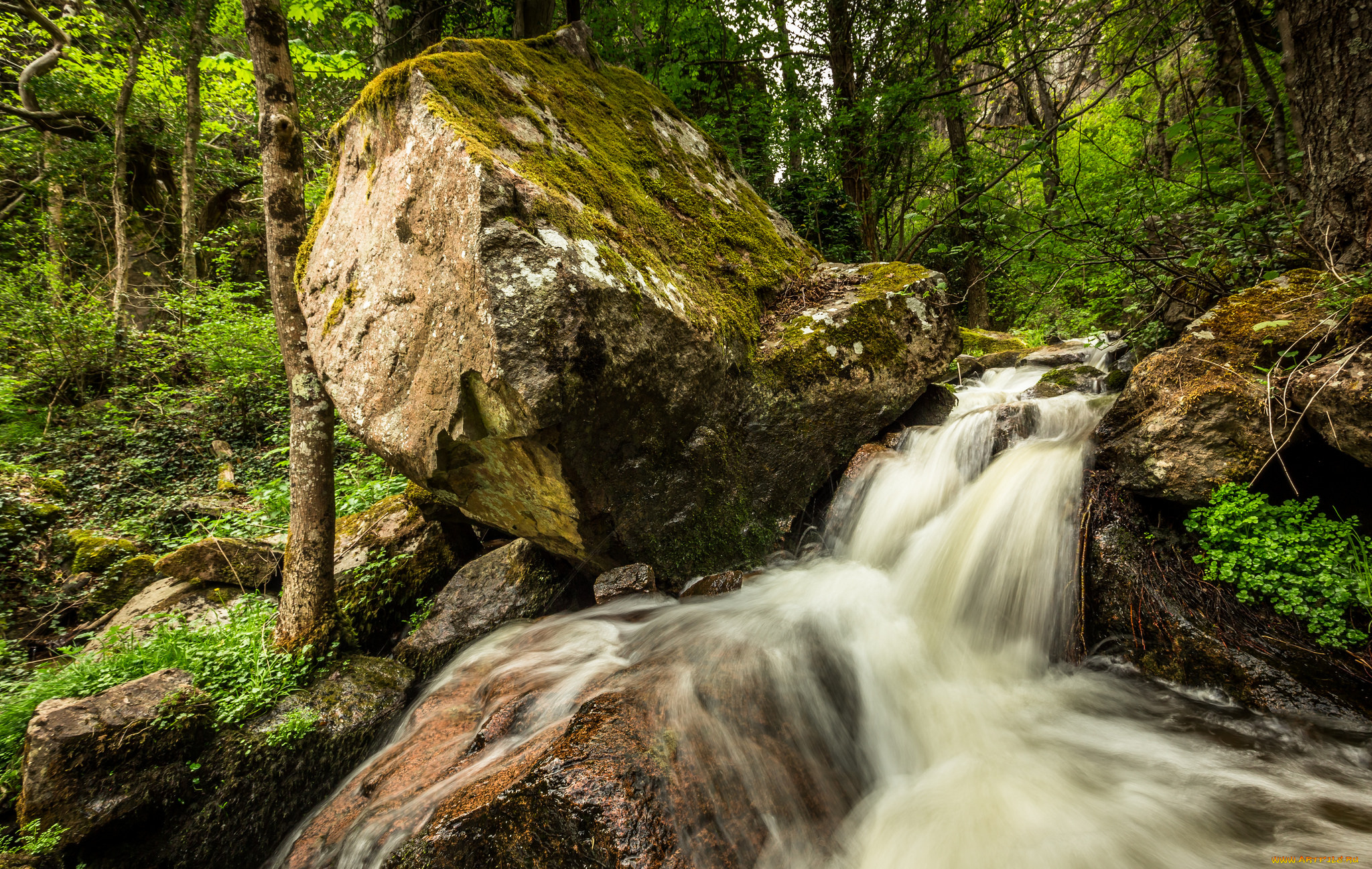 природа, водопады, водопад, река, лес