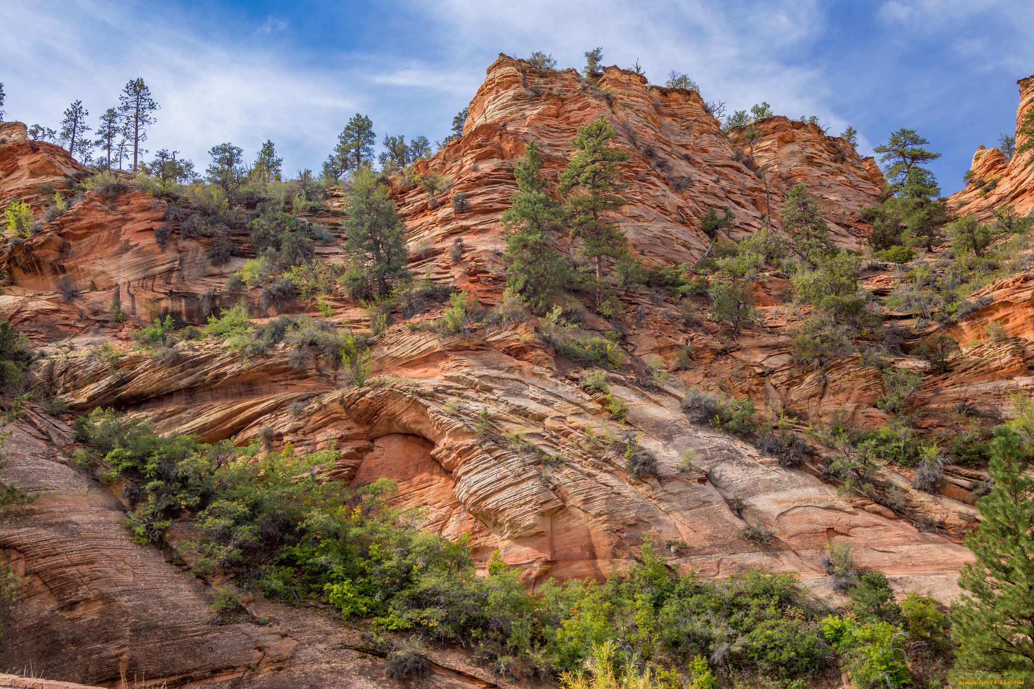природа, горы, скалы, сосны