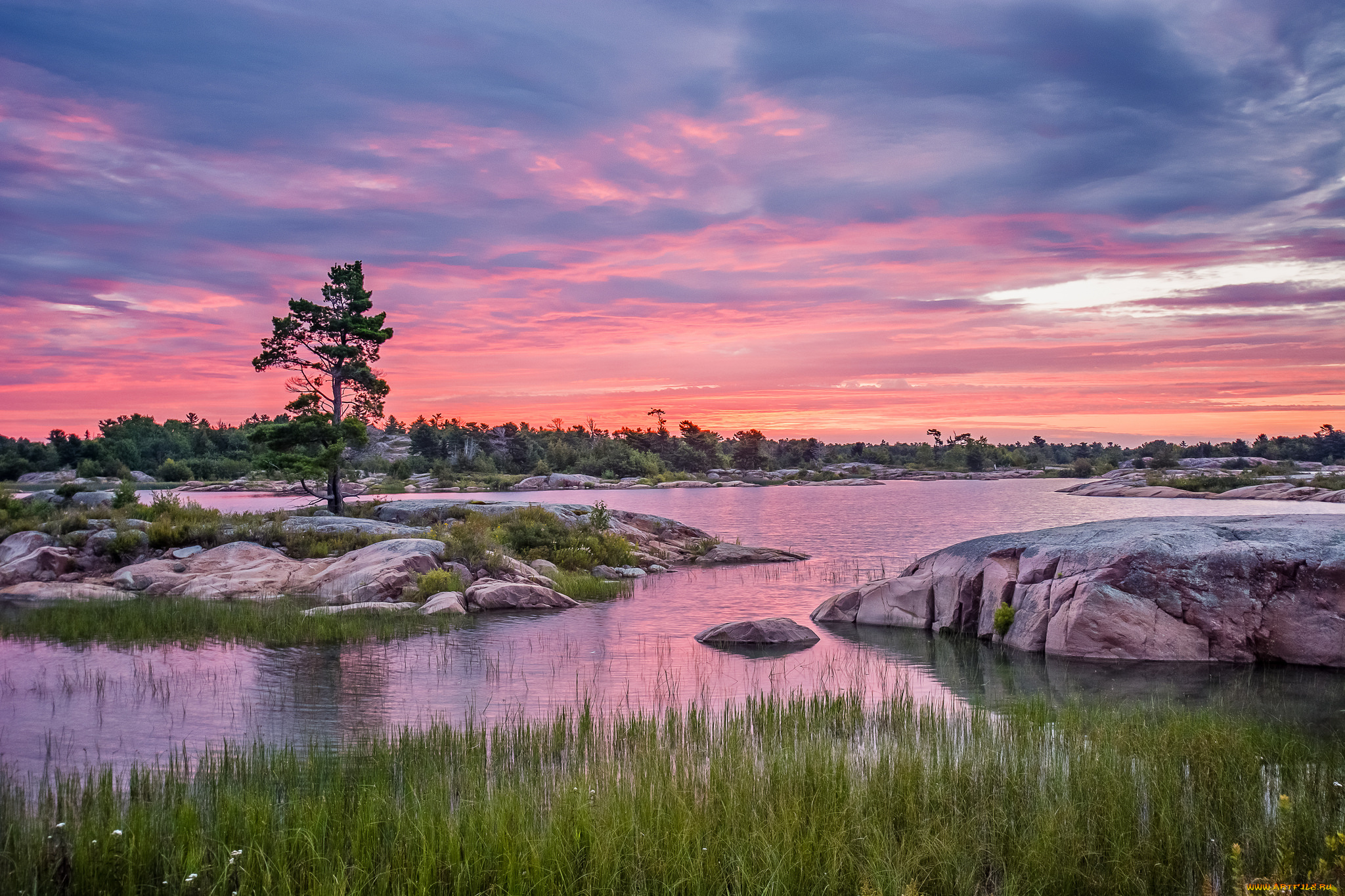 природа, реки, озера, река, лес