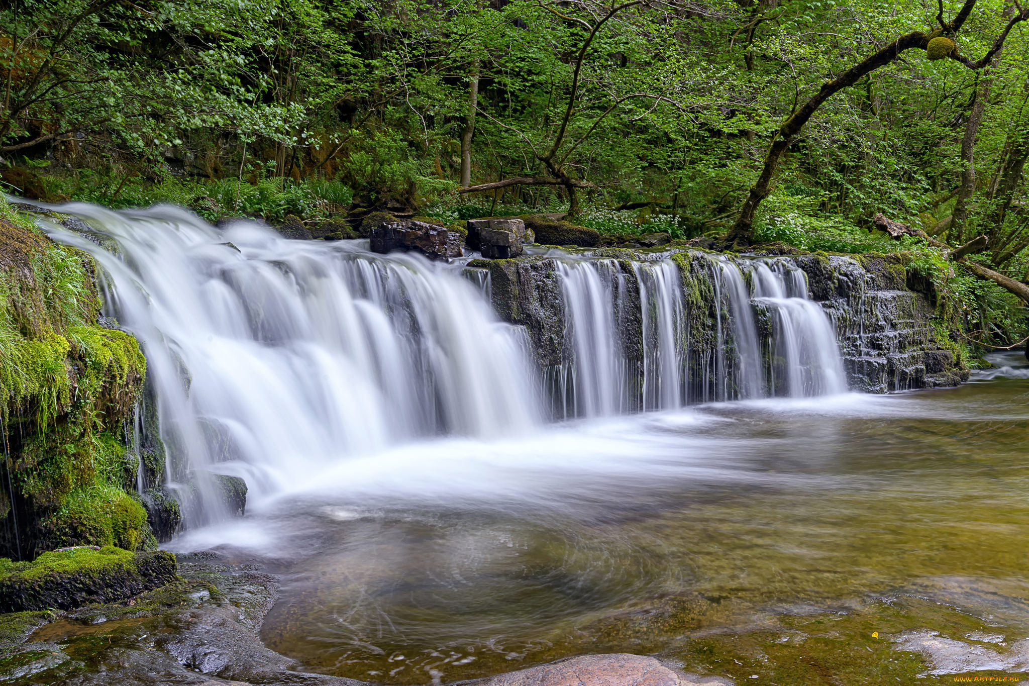 природа, водопады, водопад, река, лес