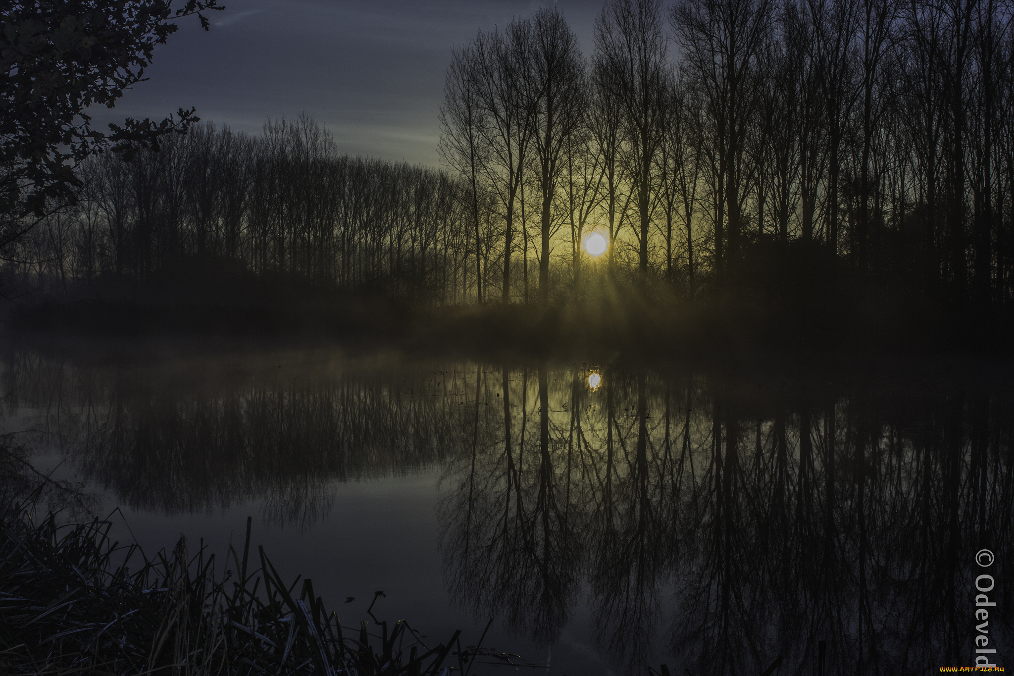 природа, восходы, закаты, отражение, озеро, деревья, закат, вечер