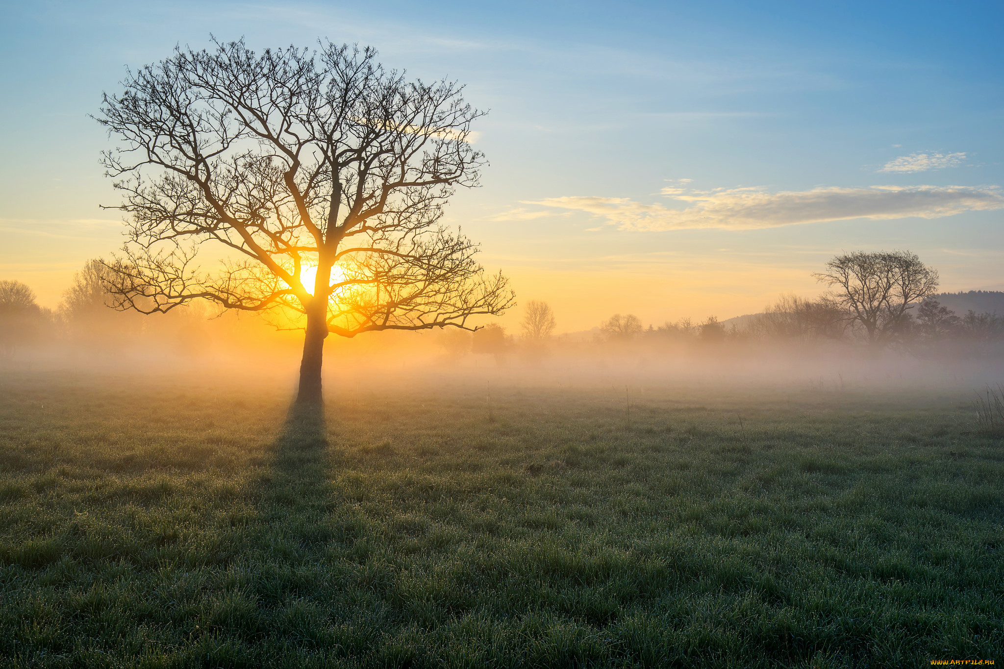 природа, восходы, закаты, рассвет