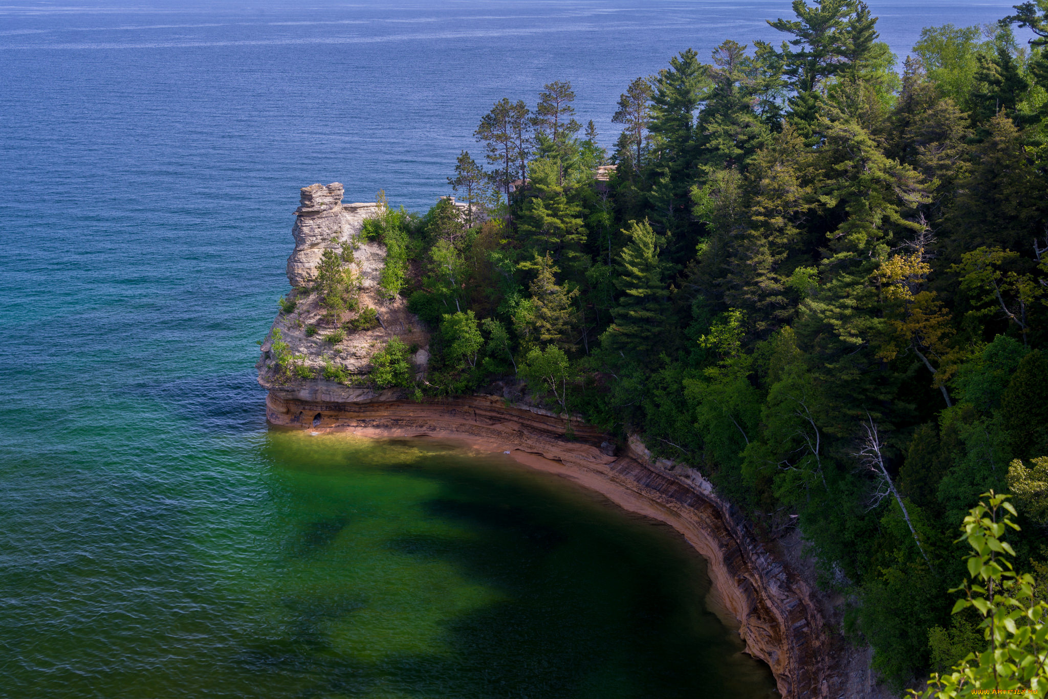 природа, побережье, берег, обрыв, лес