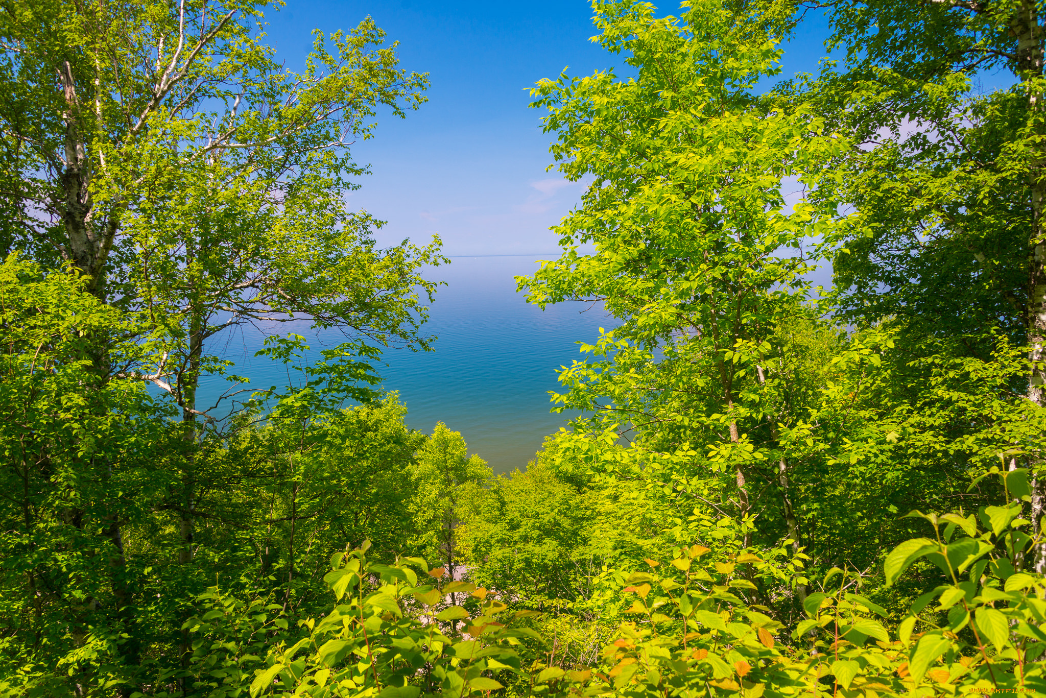 природа, реки, озера, деревья, просвет, обзор