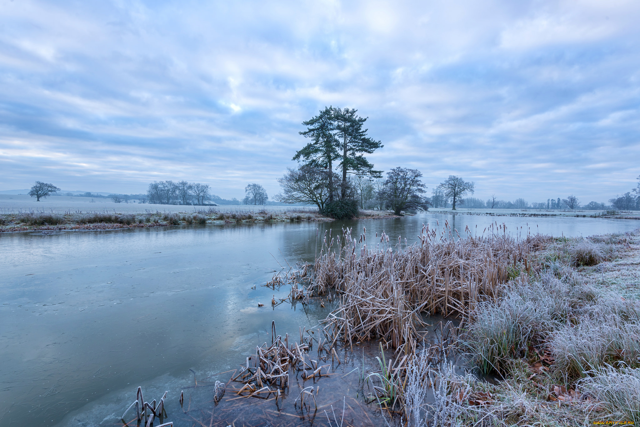 природа, реки, озера, камыш, река, иней