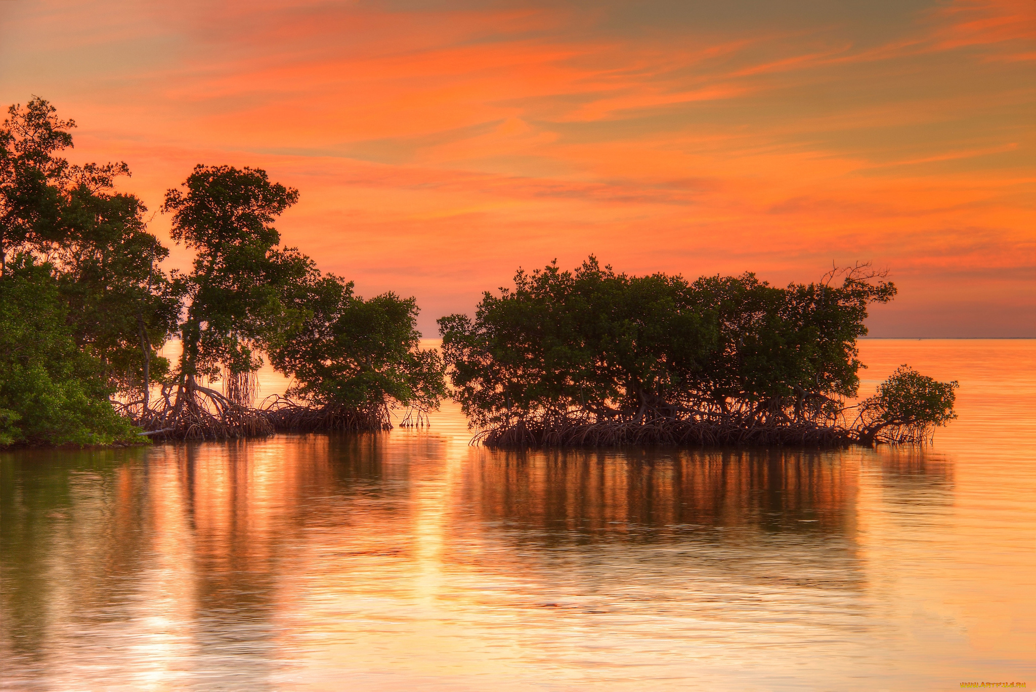 природа, восходы, закаты, рассвет