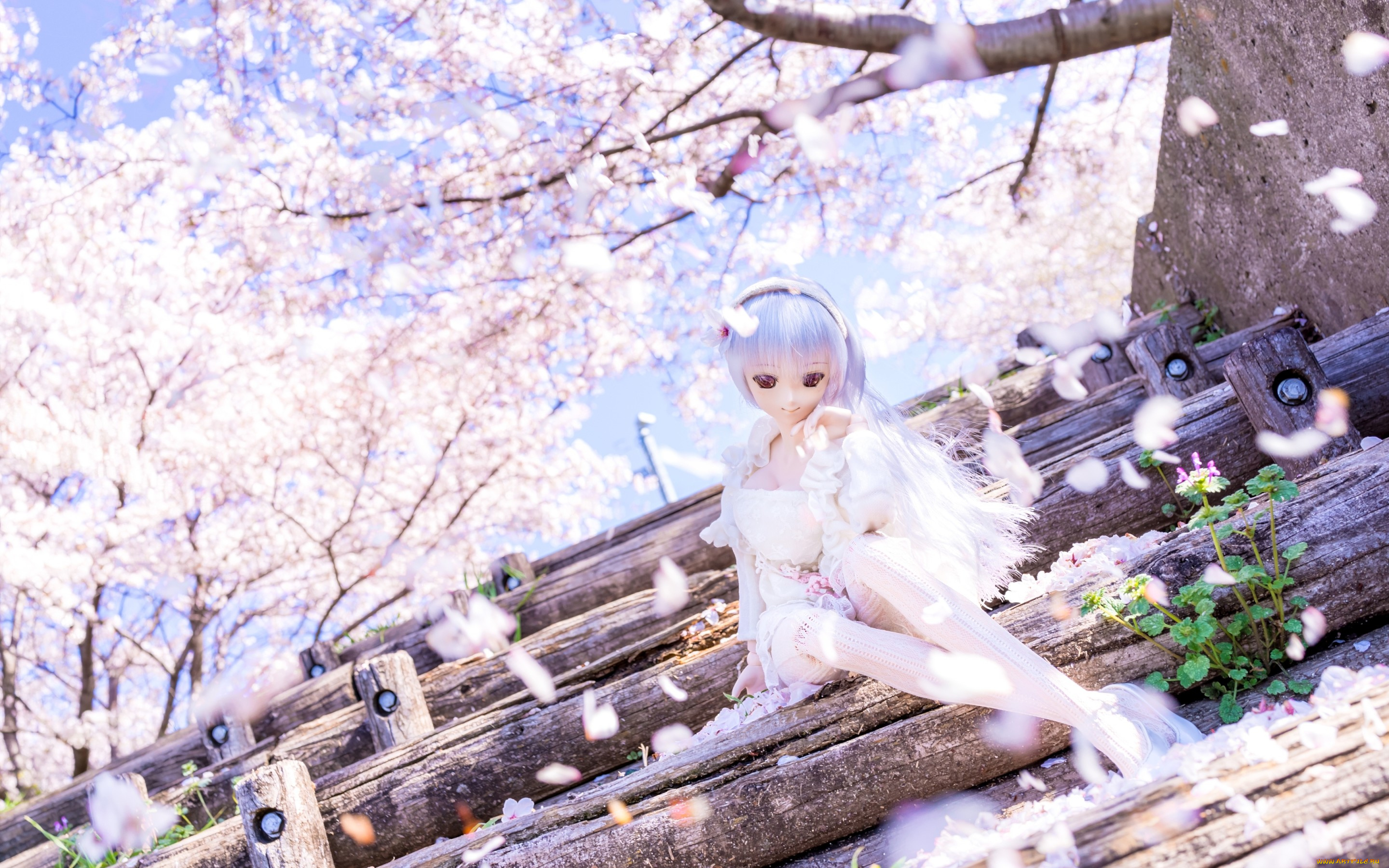разное, игрушки, весна, сакура, лепестки, кукла