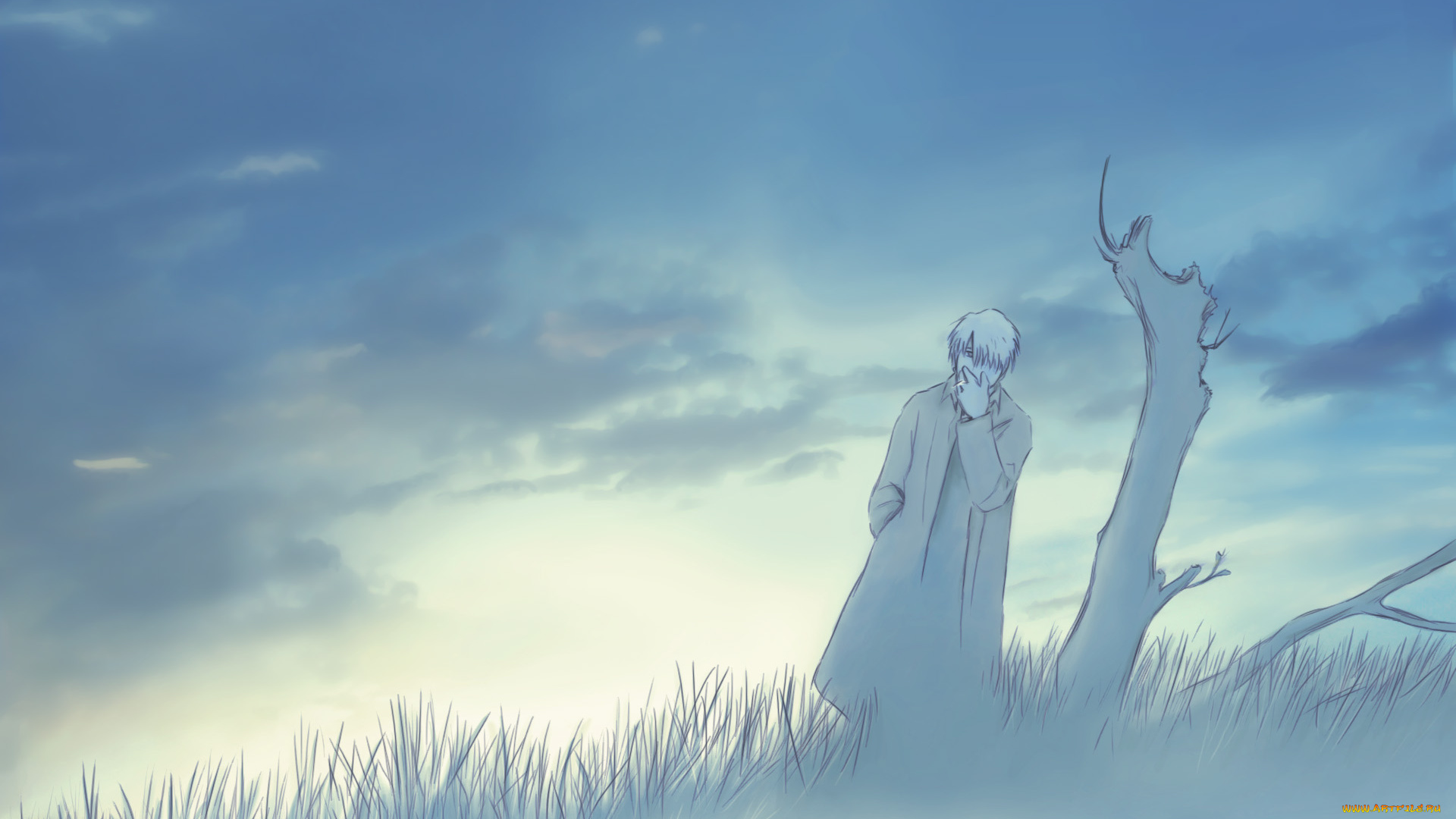 аниме, mushishi, ginko