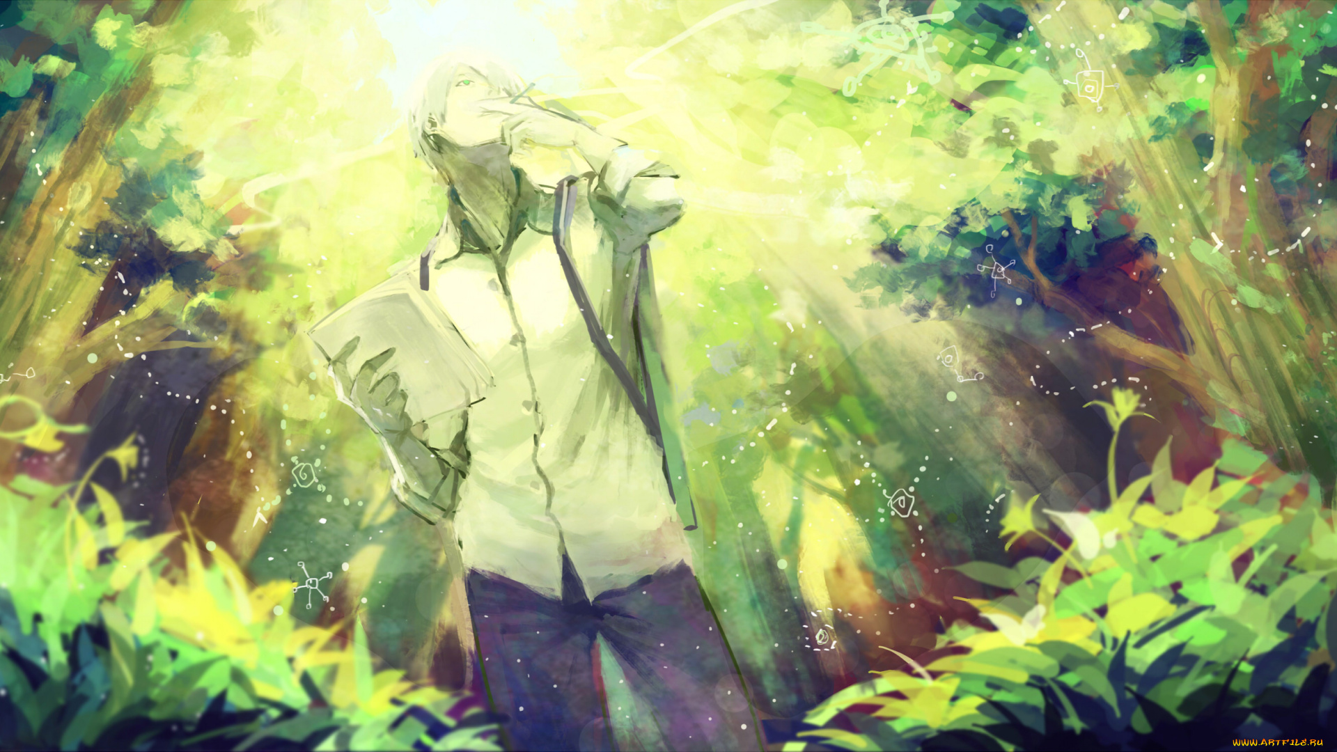 аниме, mushishi, ginko