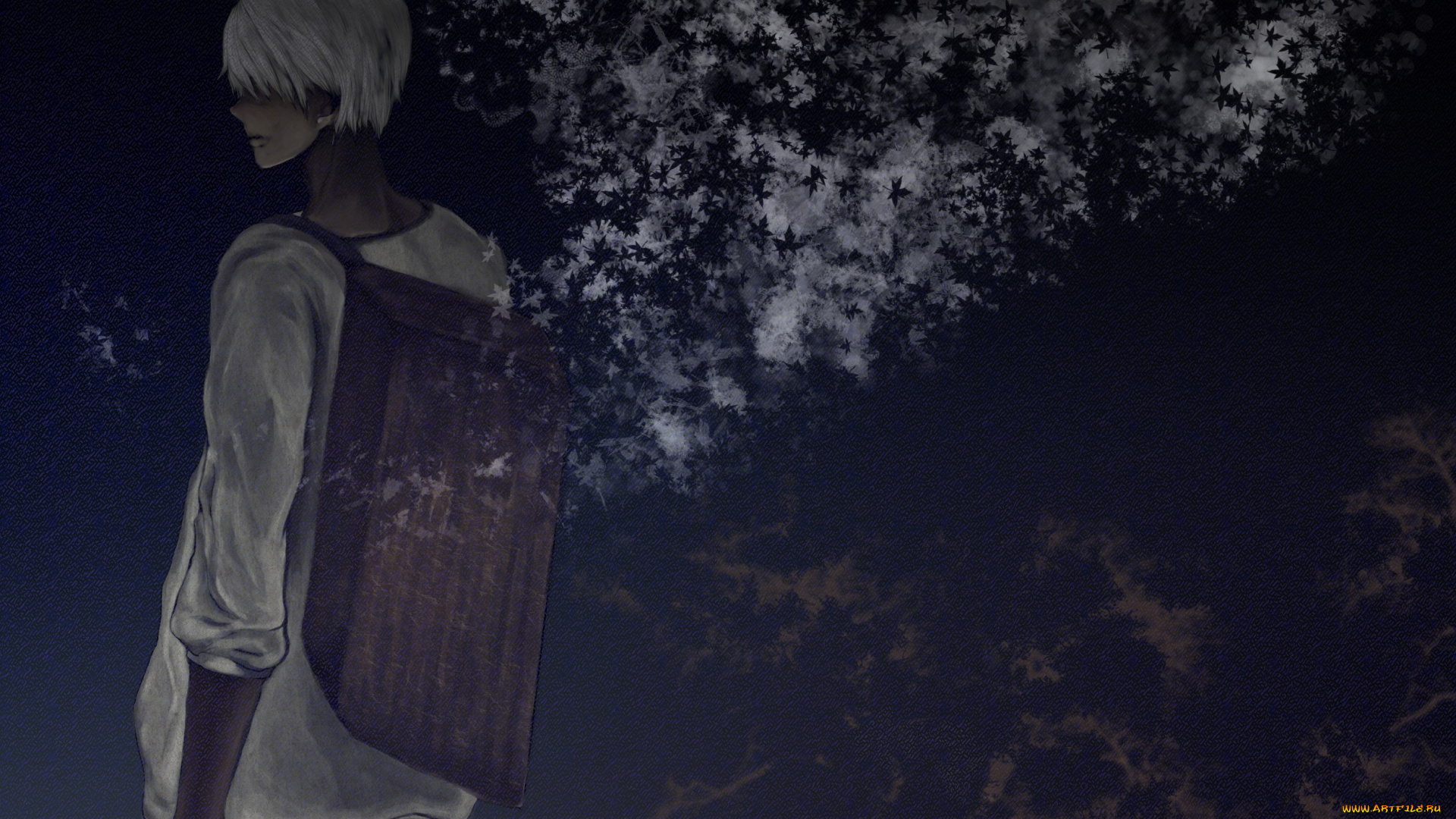 аниме, mushishi, ginko