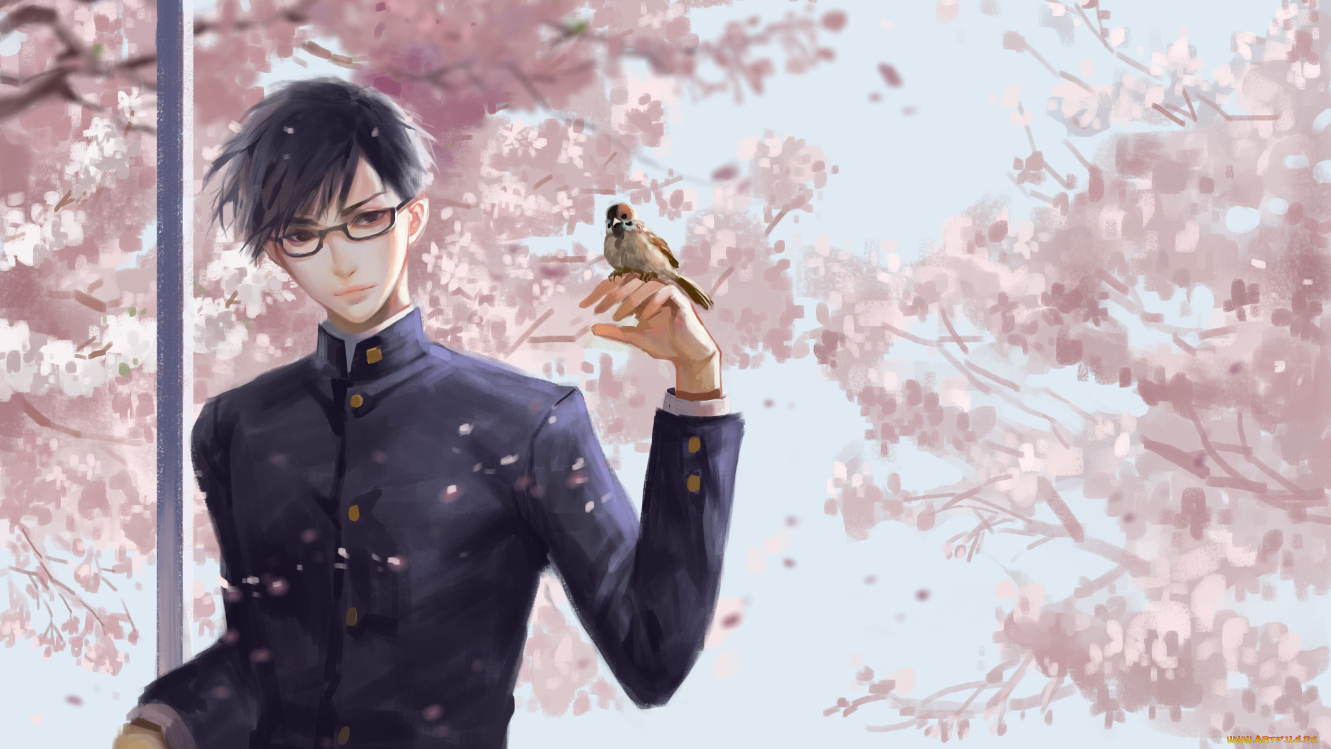 аниме, sakamoto, desu, ga, сакура, сакамото, птица, парень