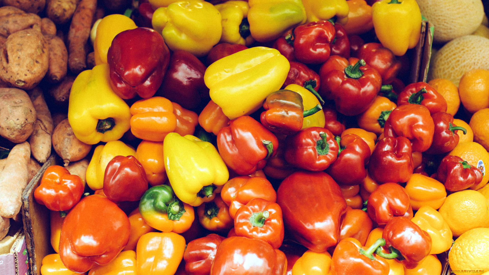 еда, перец, разноцветные