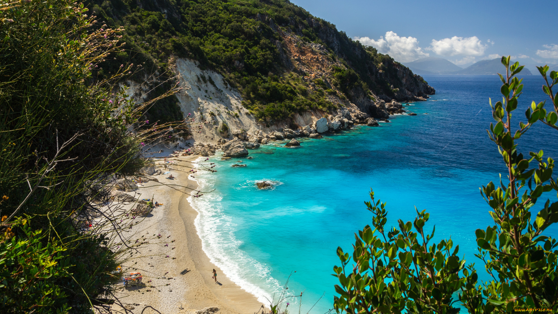 природа, побережье, река, лес