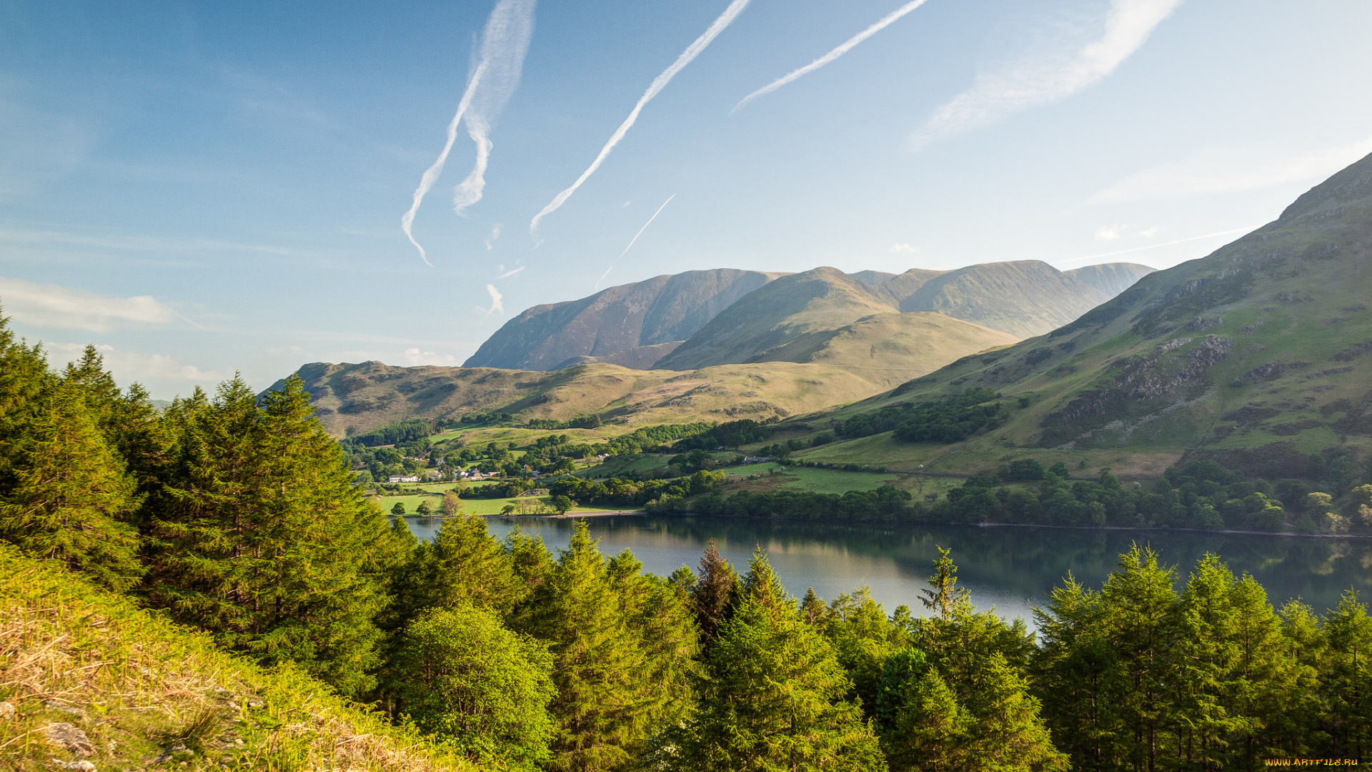 природа, реки, озера, лес, река